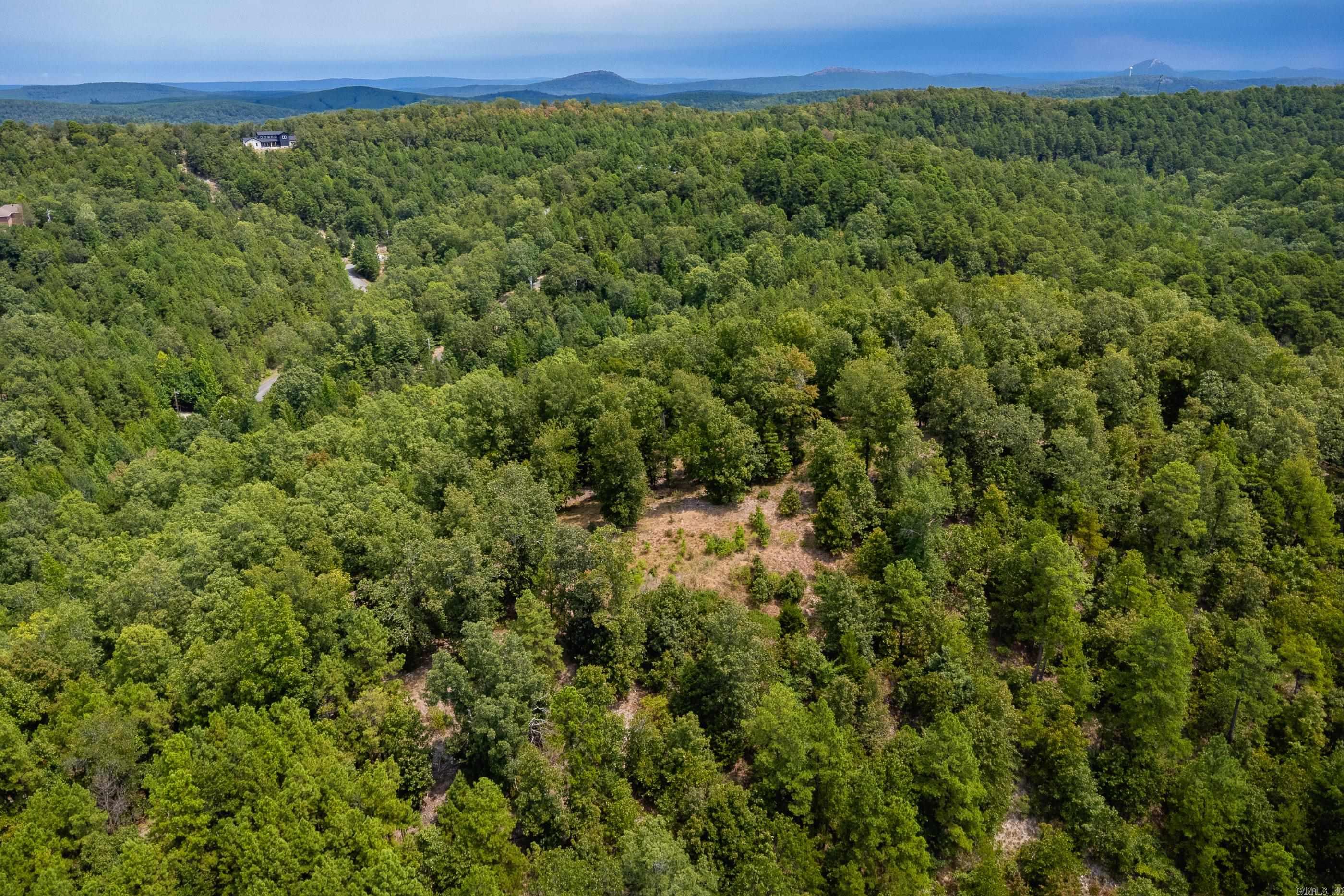 39 Golden Eagle  Paron, AR