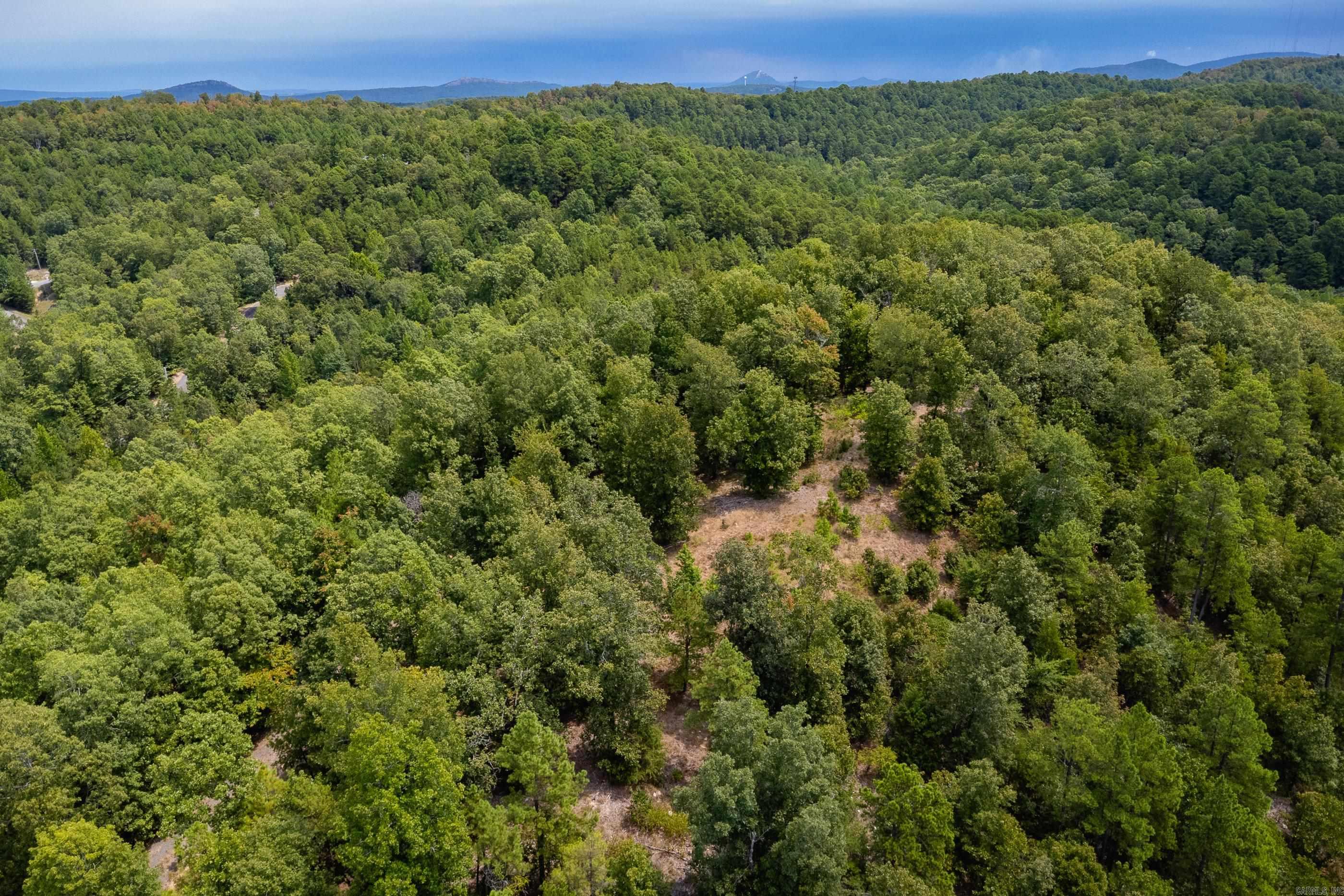 39 Golden Eagle  Paron, AR