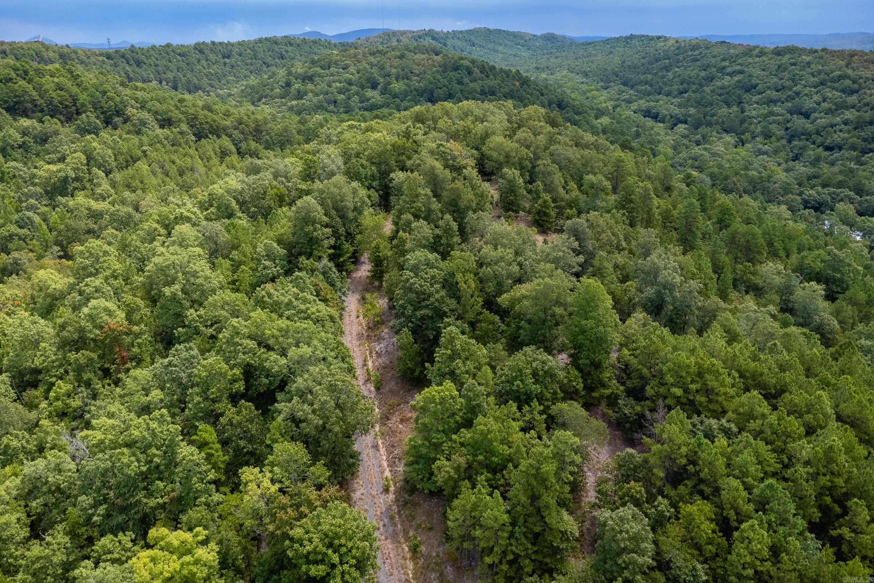 39 Golden Eagle  Paron, AR