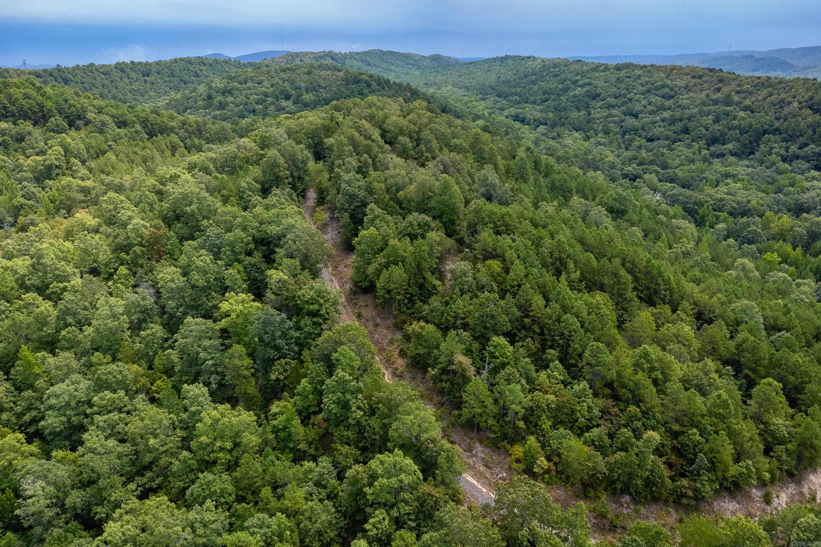 39 Golden Eagle  Paron, AR