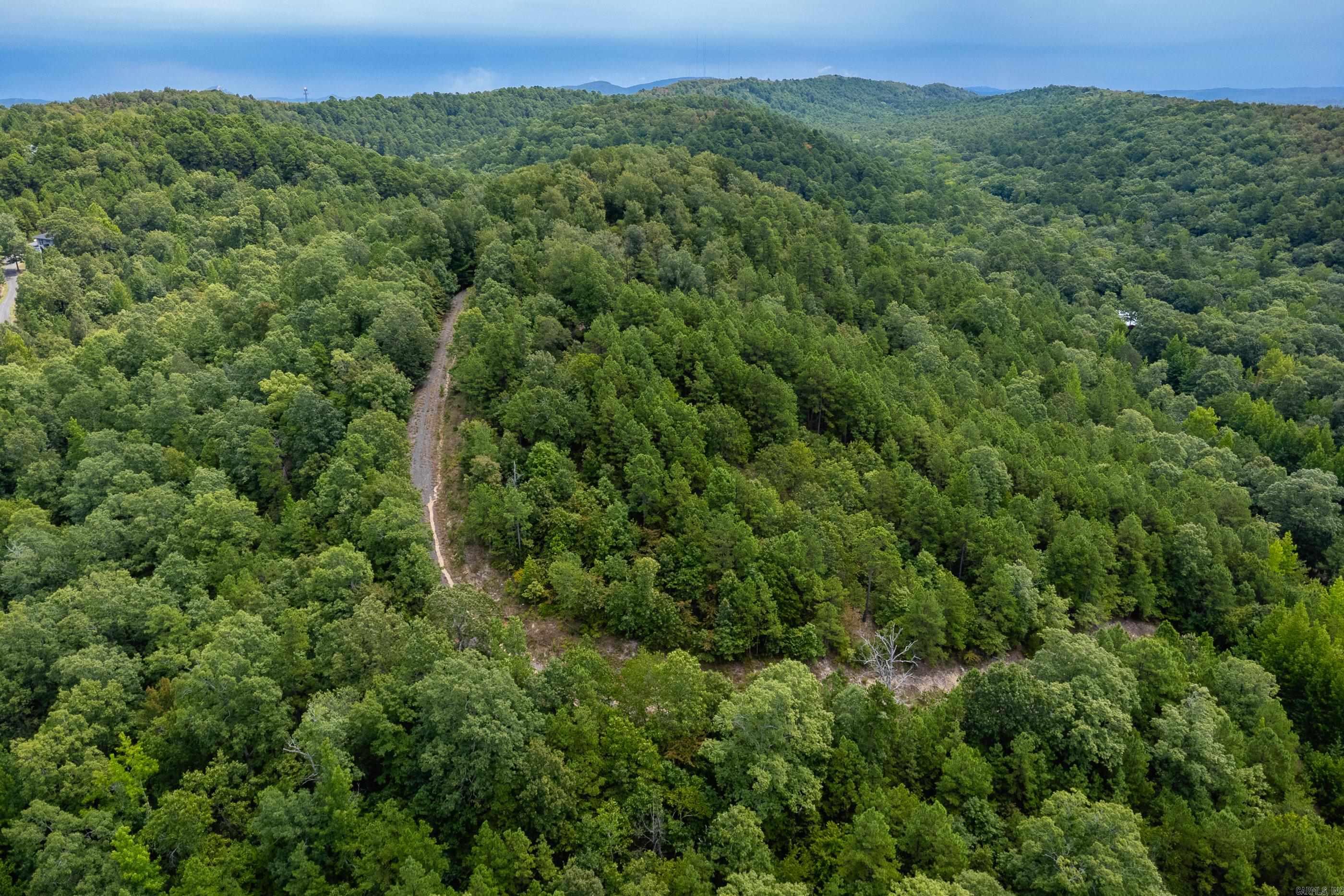 39 Golden Eagle  Paron, AR