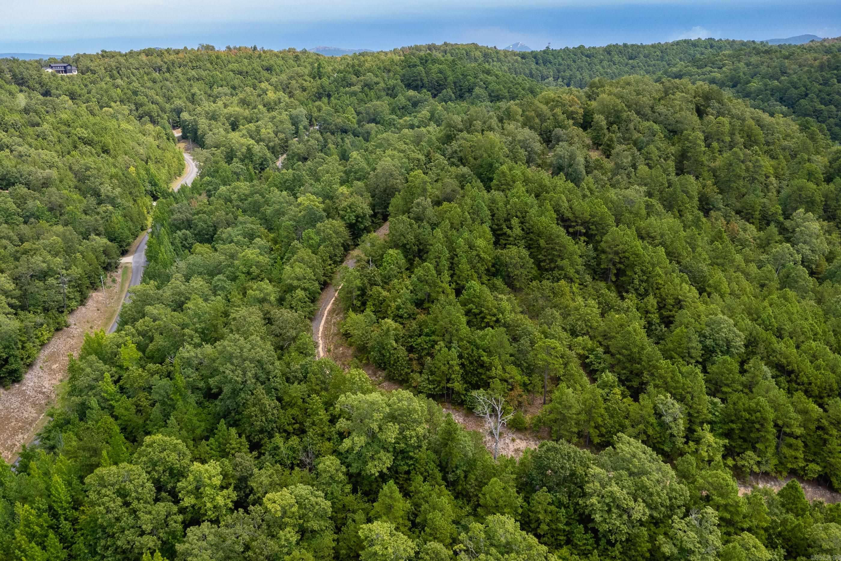 39 Golden Eagle  Paron, AR