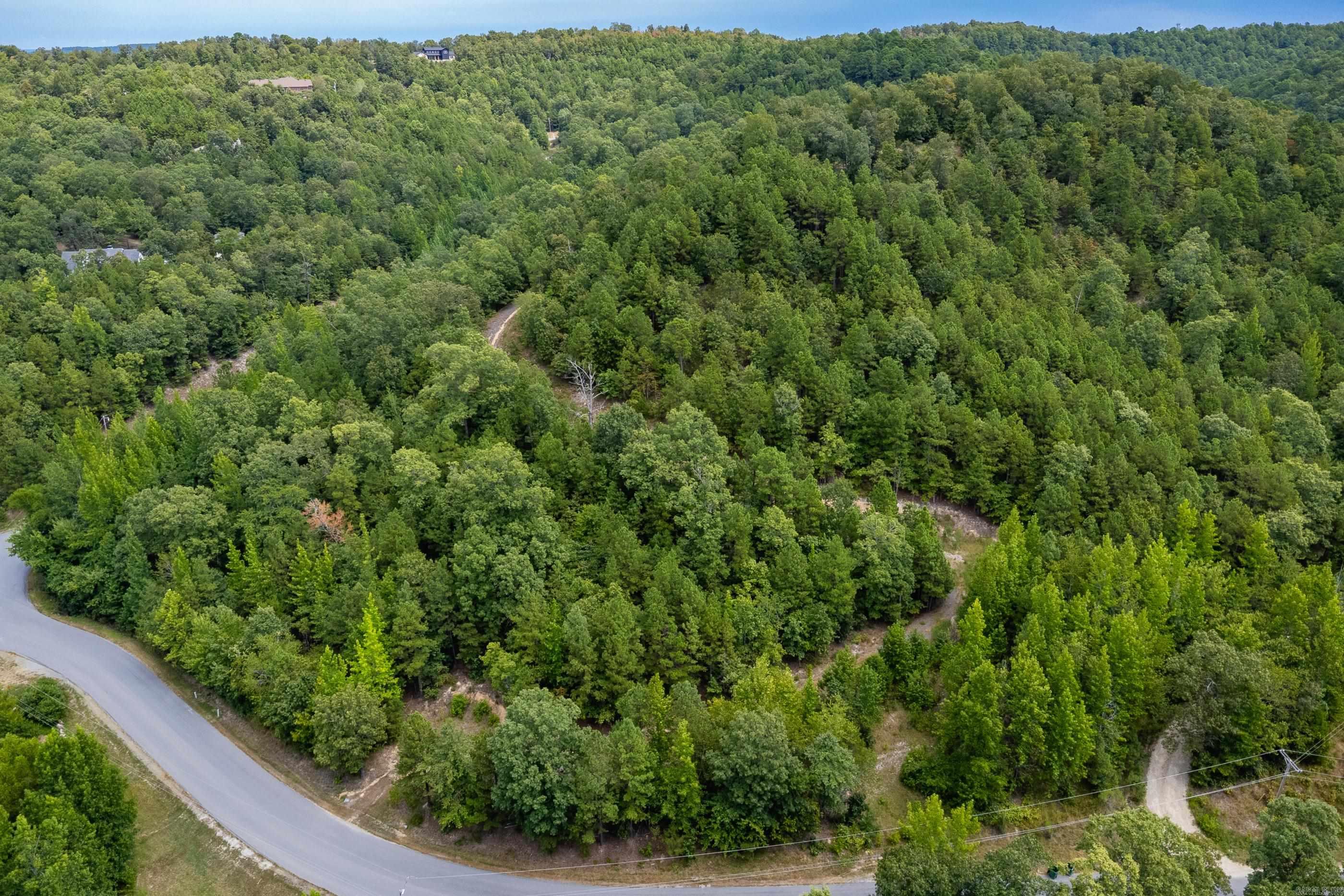 39 Golden Eagle  Paron, AR