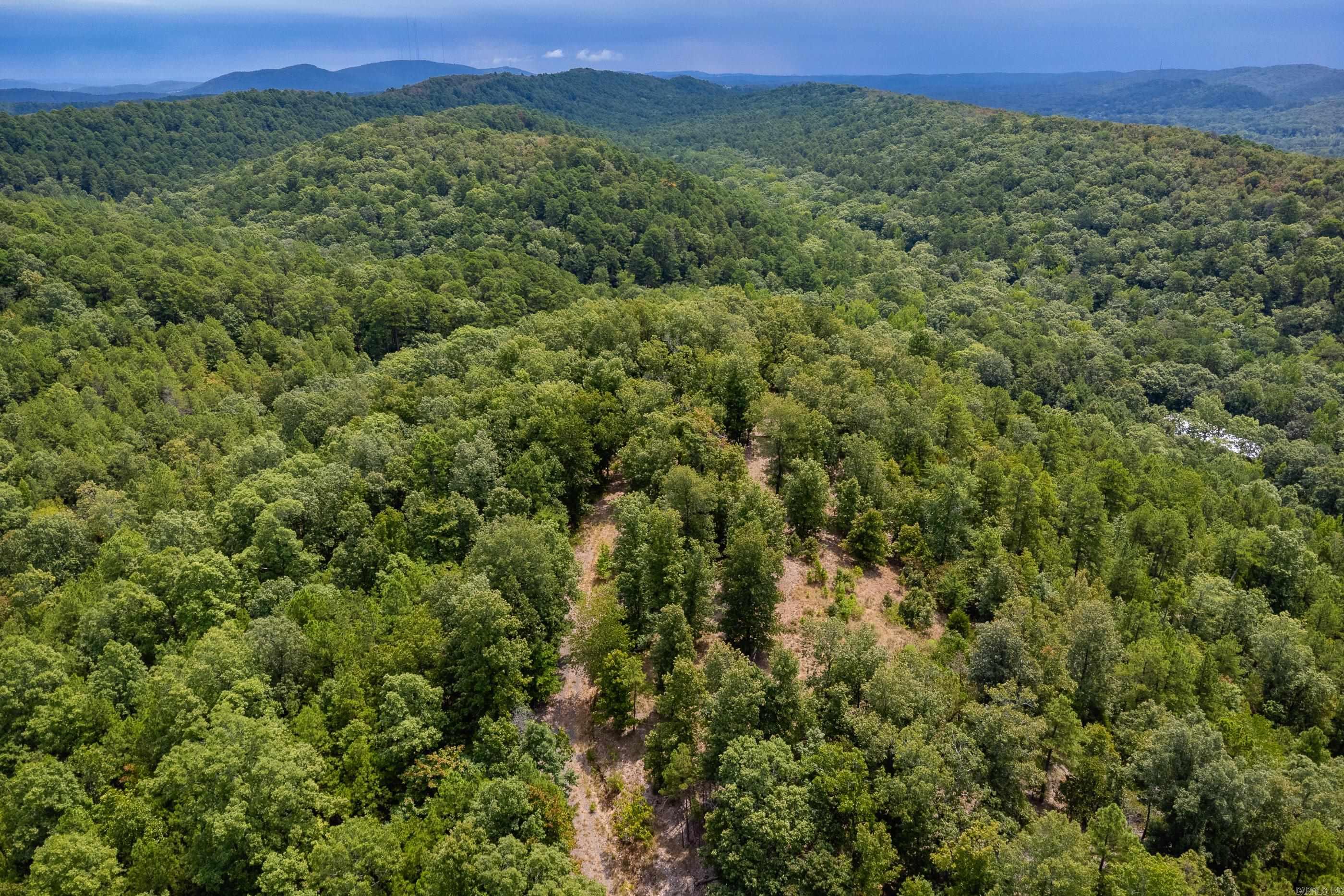 39 Golden Eagle  Paron, AR