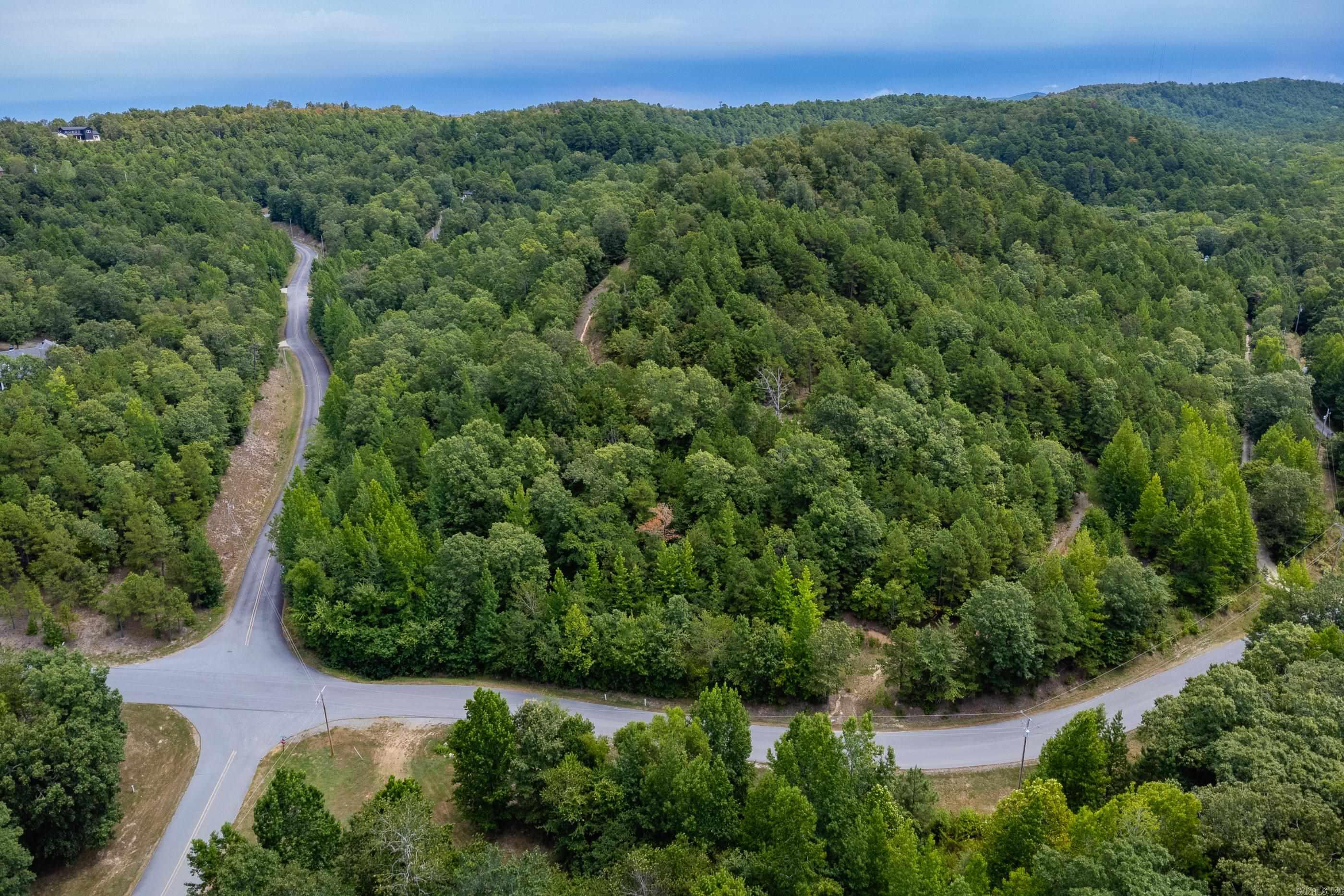 39 Golden Eagle  Paron, AR