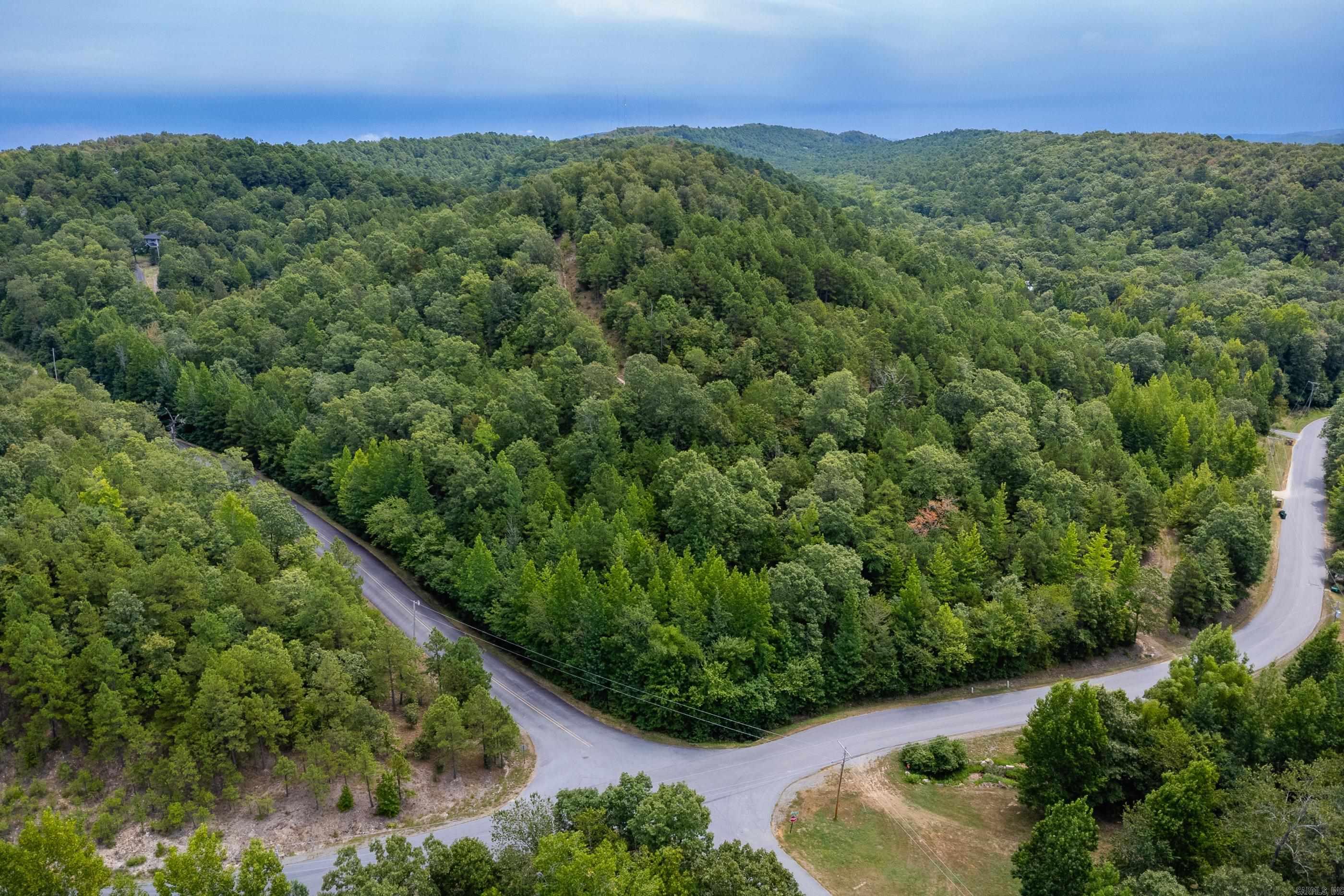 39 Golden Eagle  Paron, AR