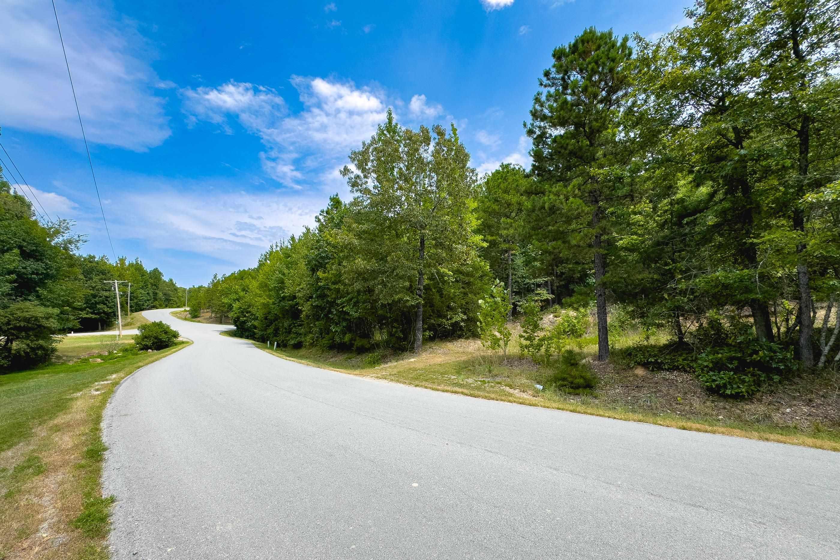 39 Golden Eagle  Paron, AR