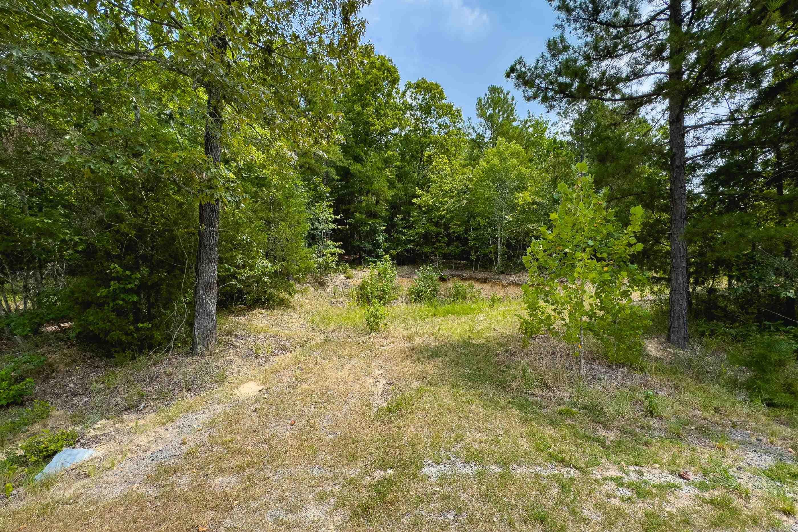 39 Golden Eagle  Paron, AR
