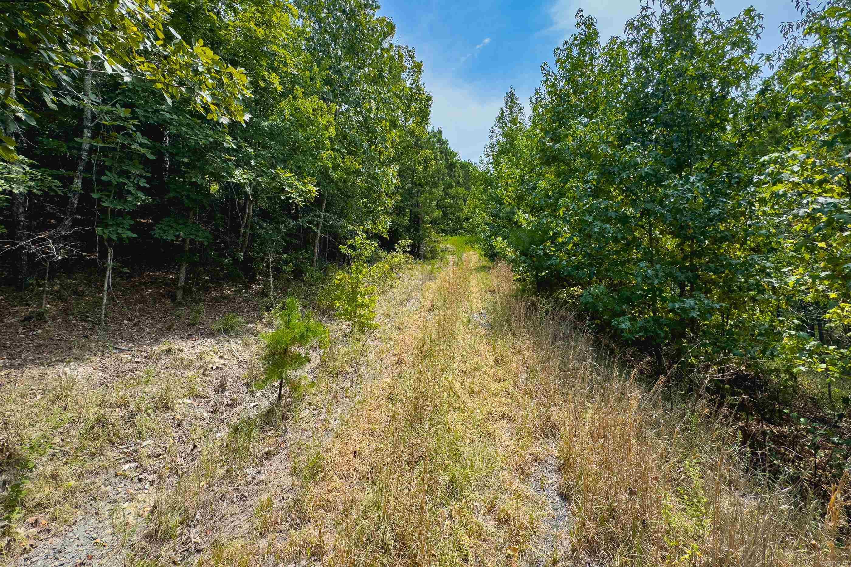 39 Golden Eagle  Paron, AR