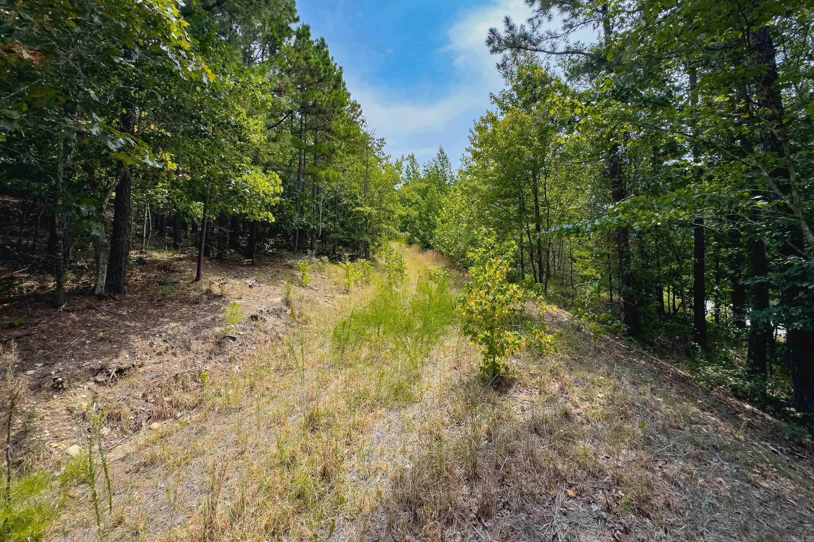 39 Golden Eagle  Paron, AR