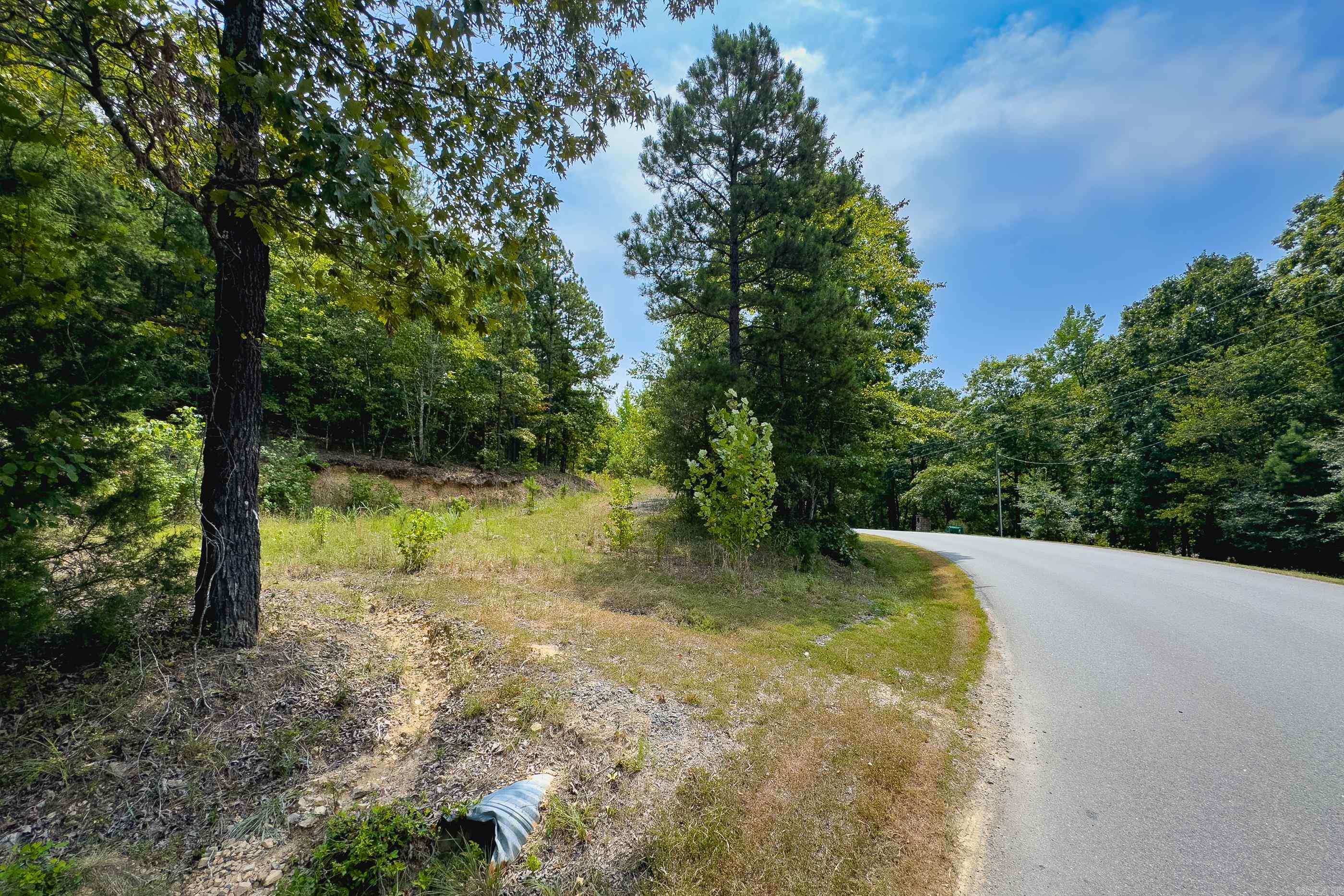 39 Golden Eagle  Paron, AR
