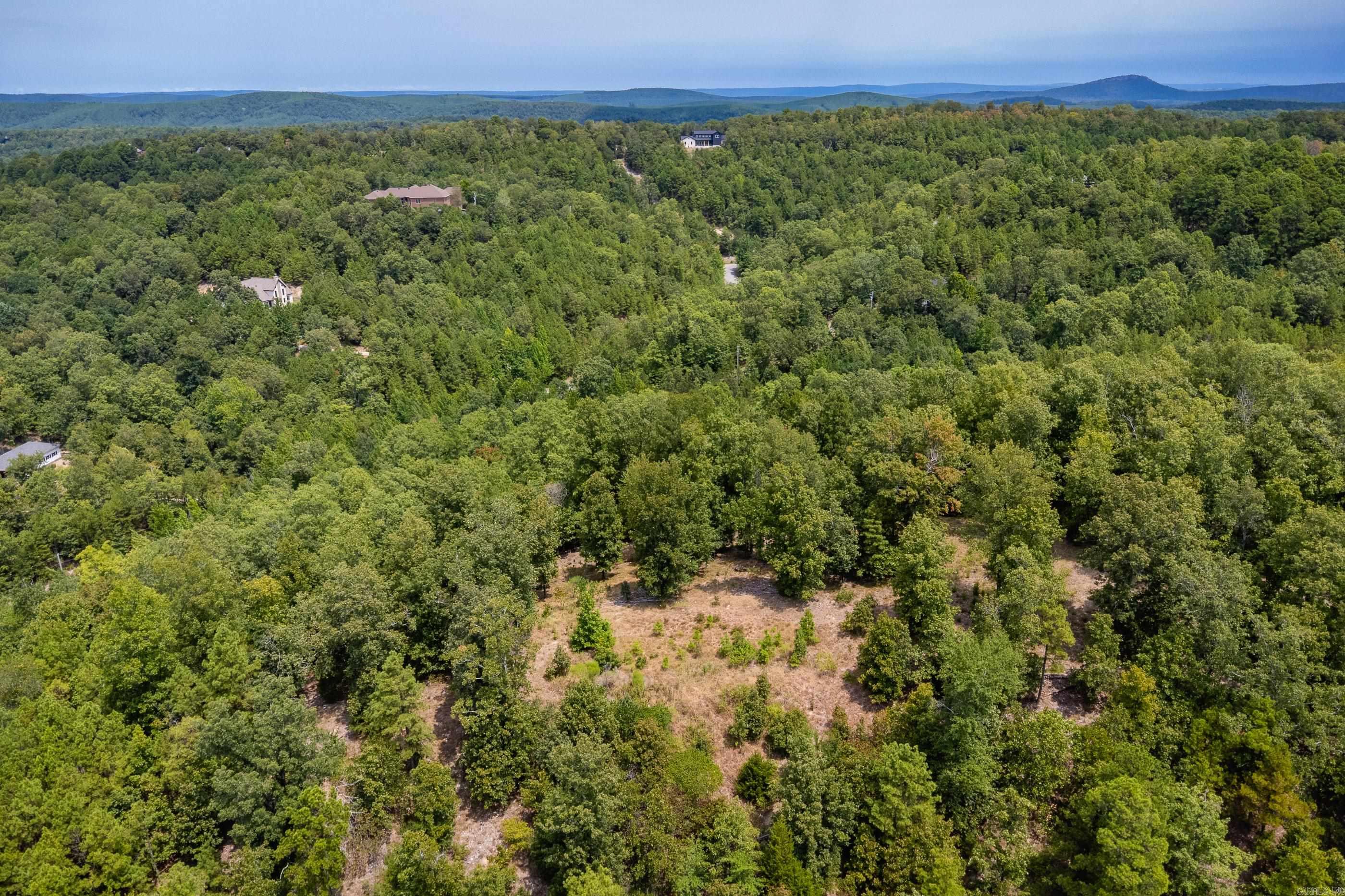 39 Golden Eagle  Paron, AR