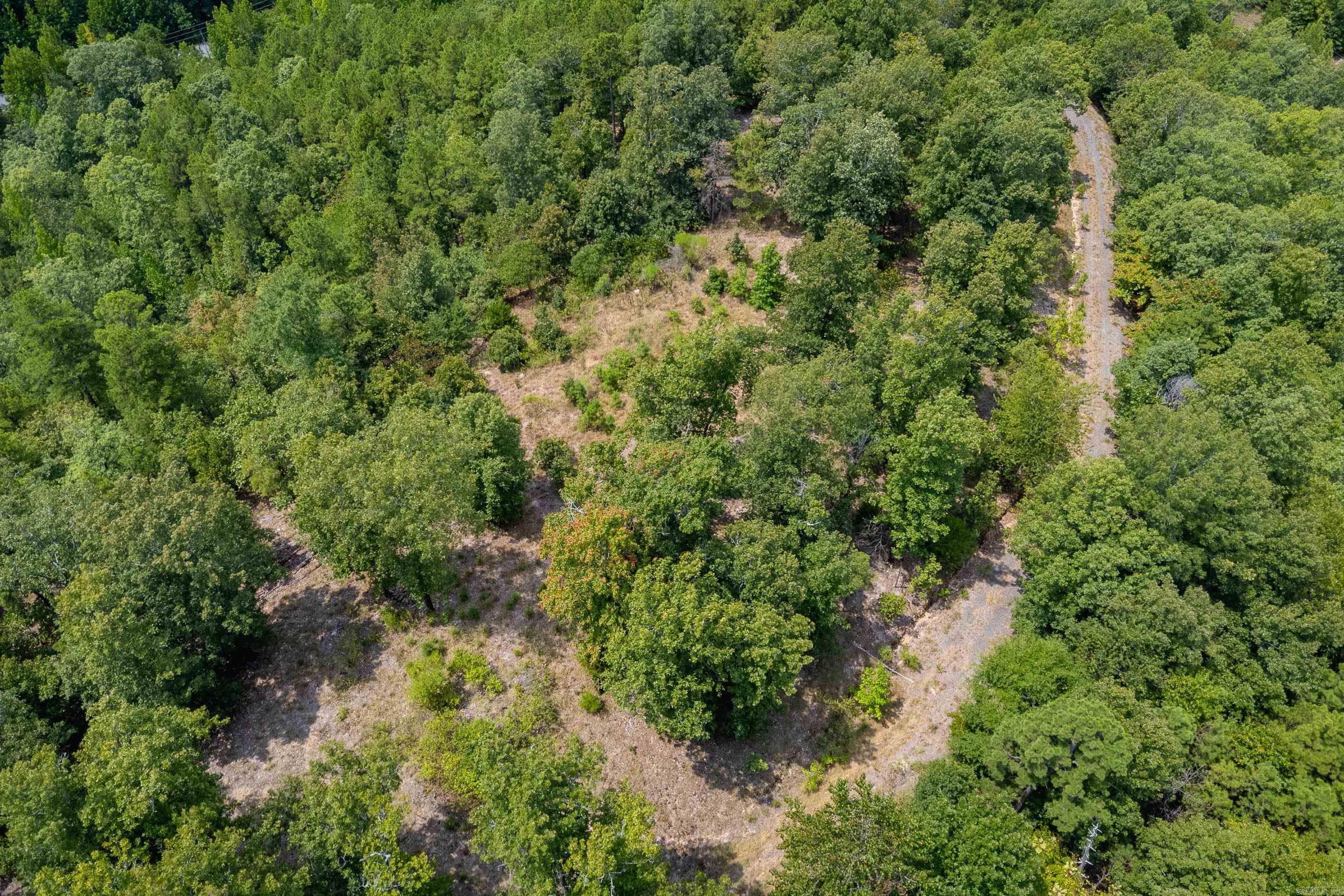 39 Golden Eagle  Paron, AR
