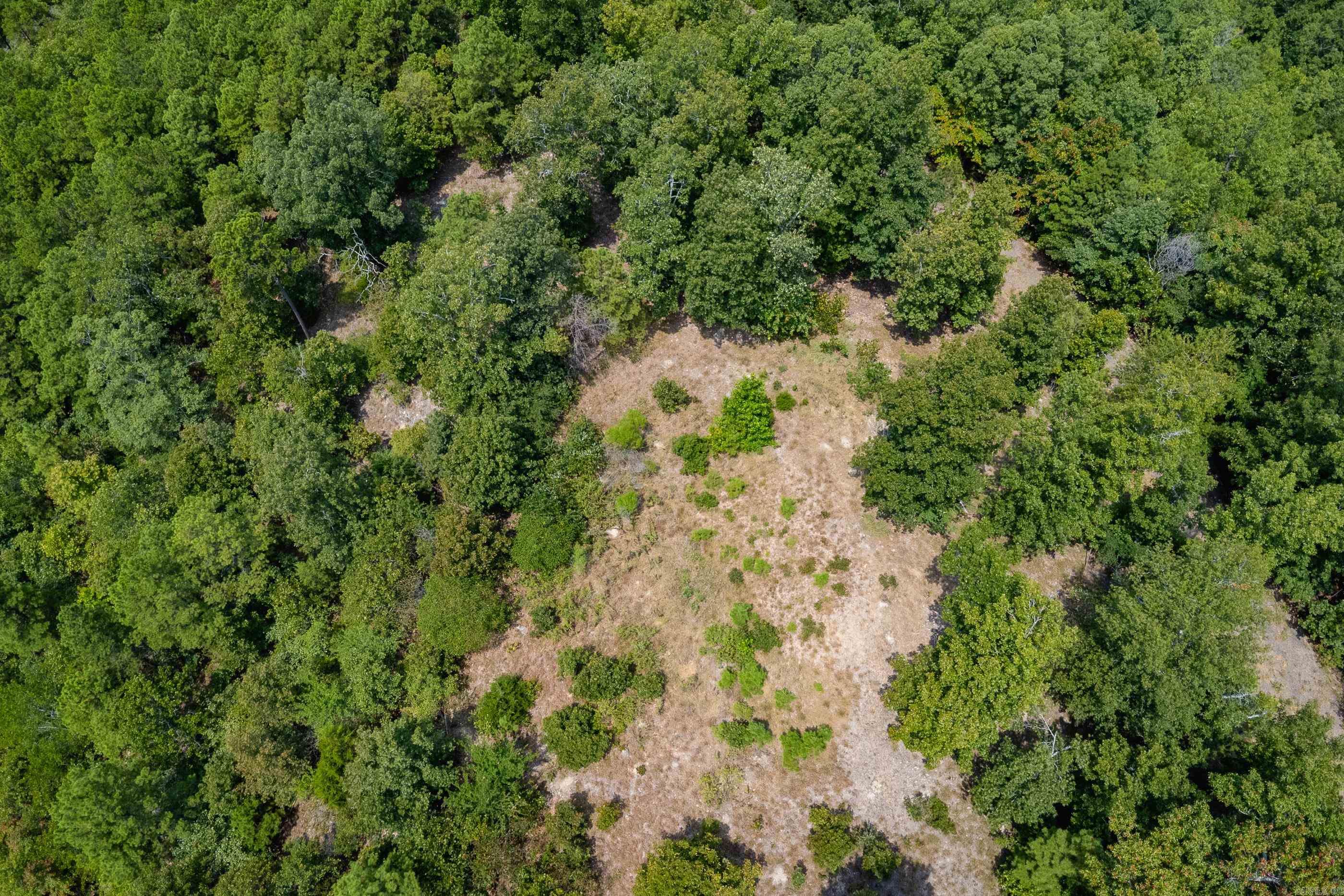 39 Golden Eagle  Paron, AR
