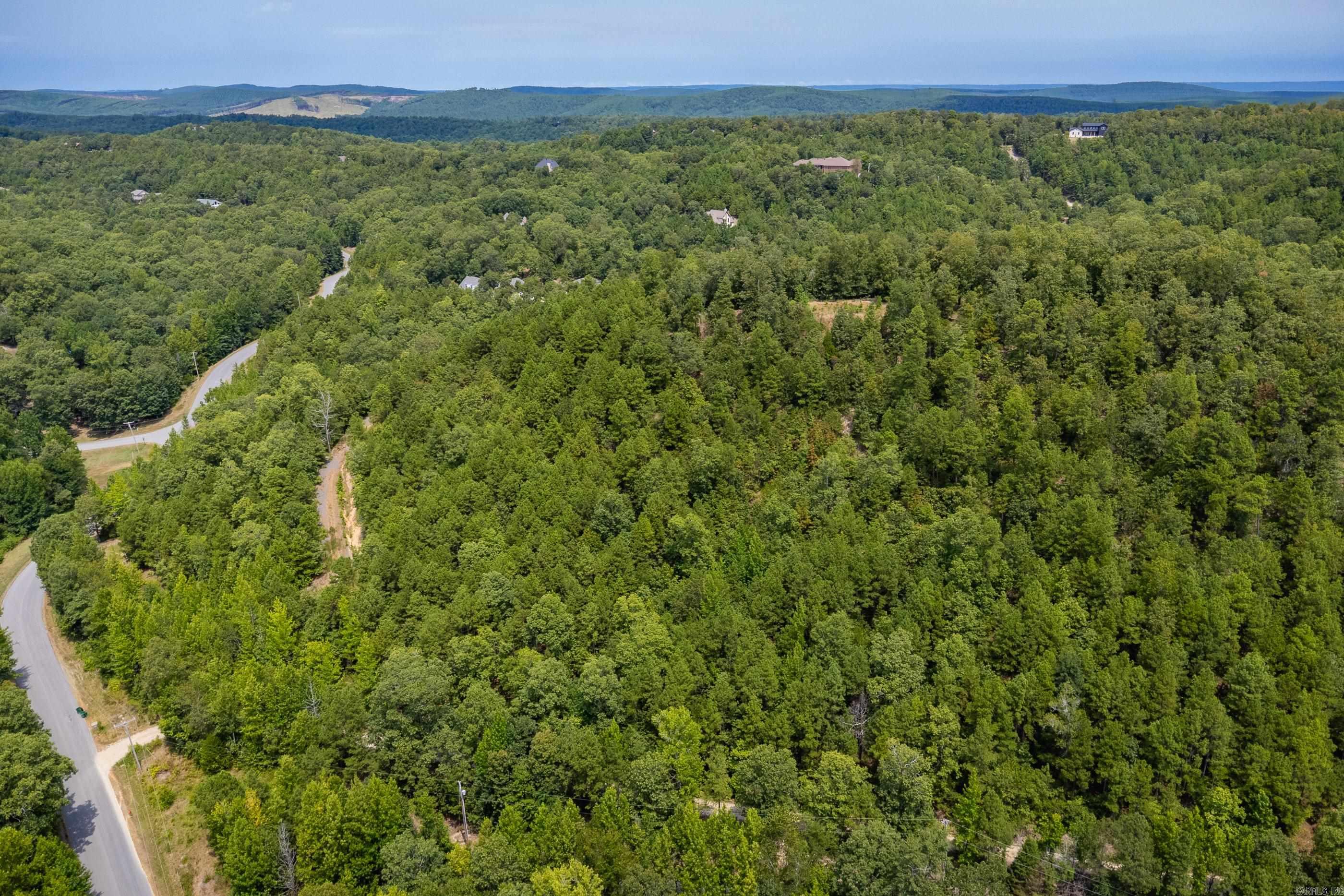 39 Golden Eagle  Paron, AR