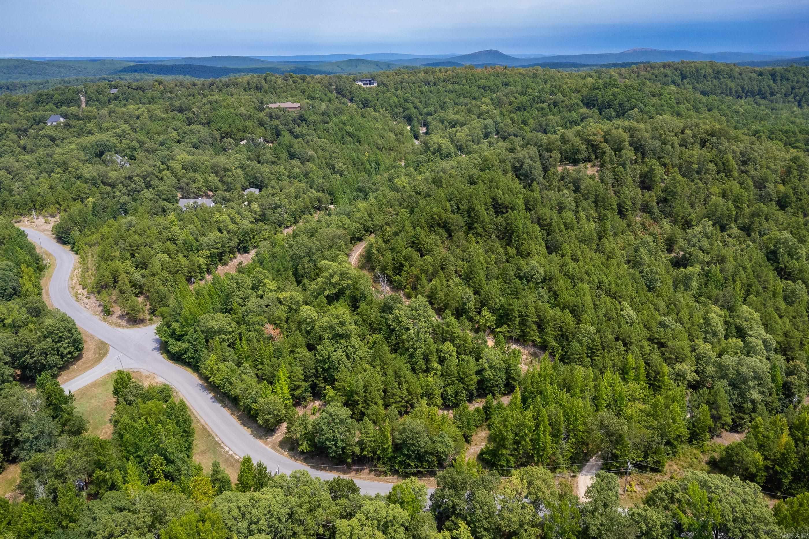 39 Golden Eagle  Paron, AR