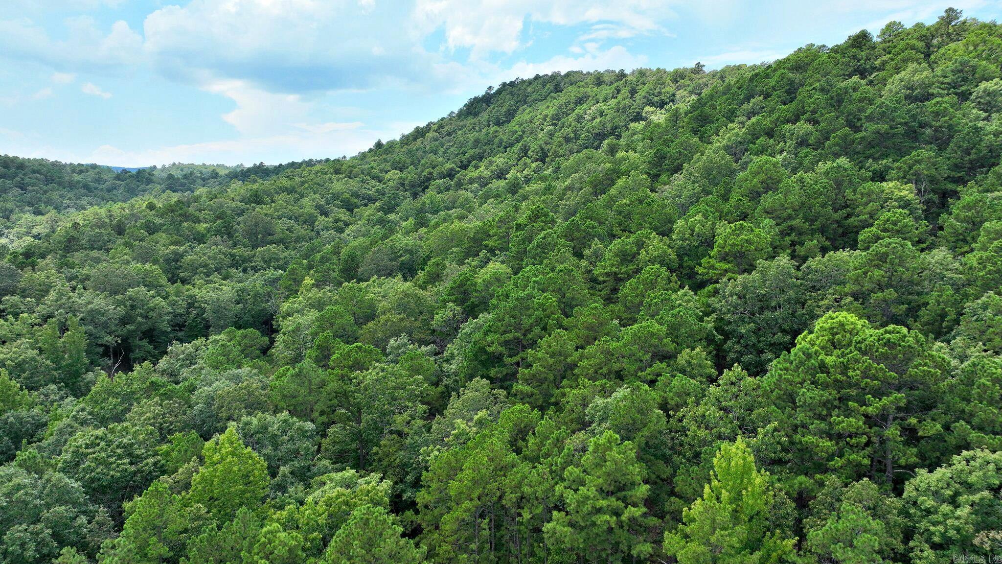 TBD Magic Pine Lane  Mena, AR