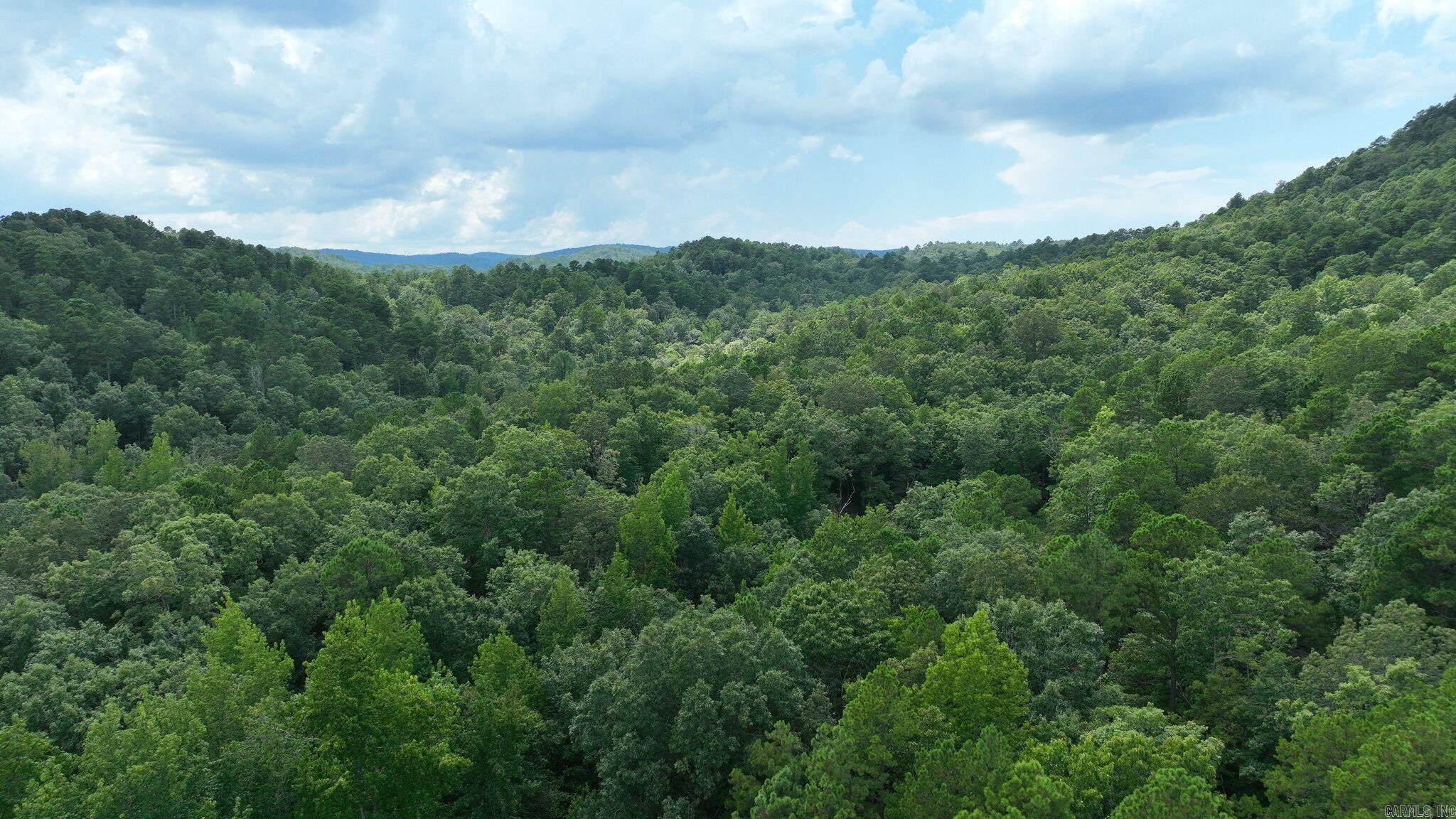TBD Magic Pine Lane  Mena, AR