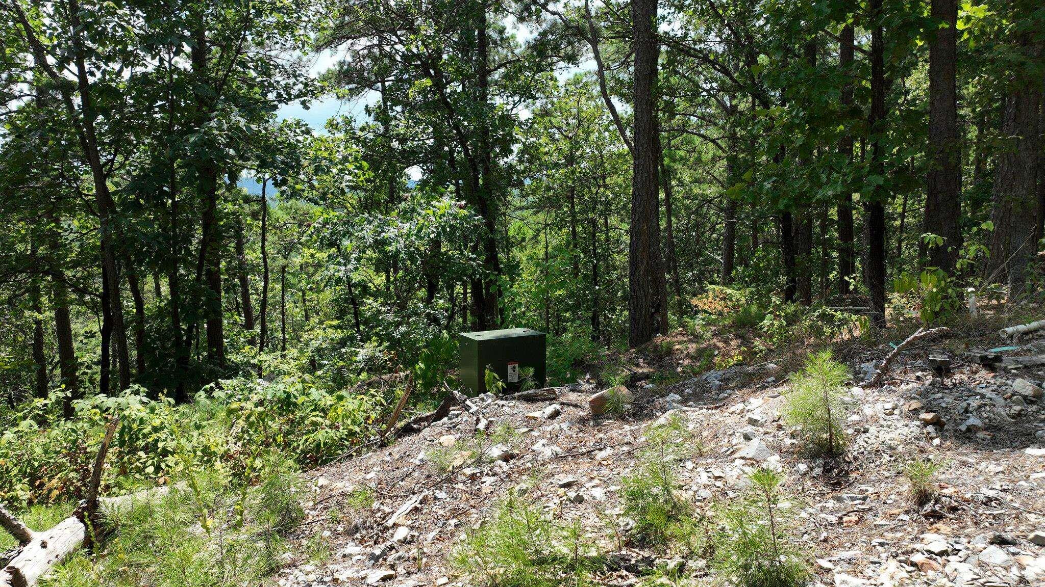 TBD Magic Pine Lane  Mena, AR