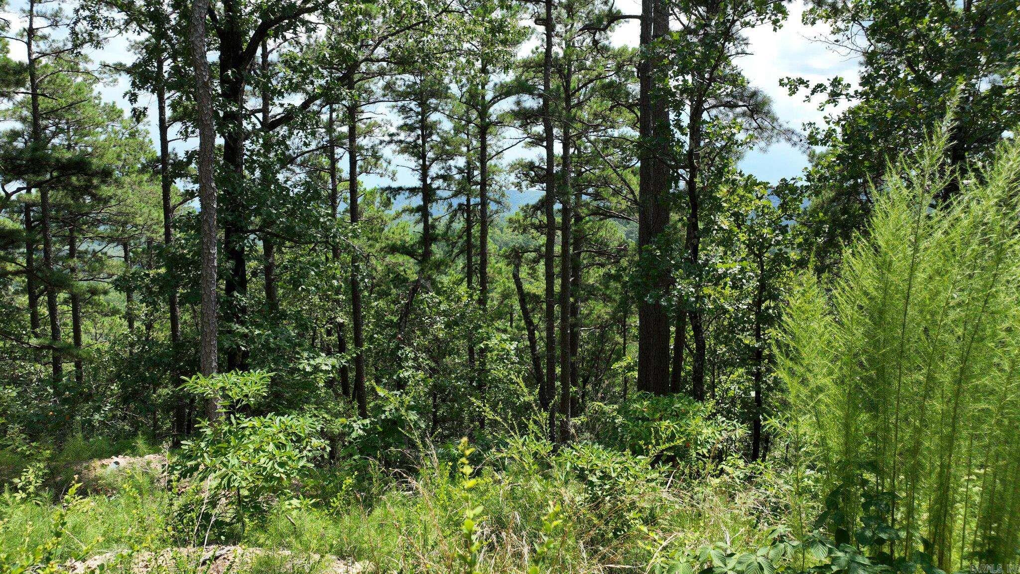 TBD Magic Pine Lane  Mena, AR
