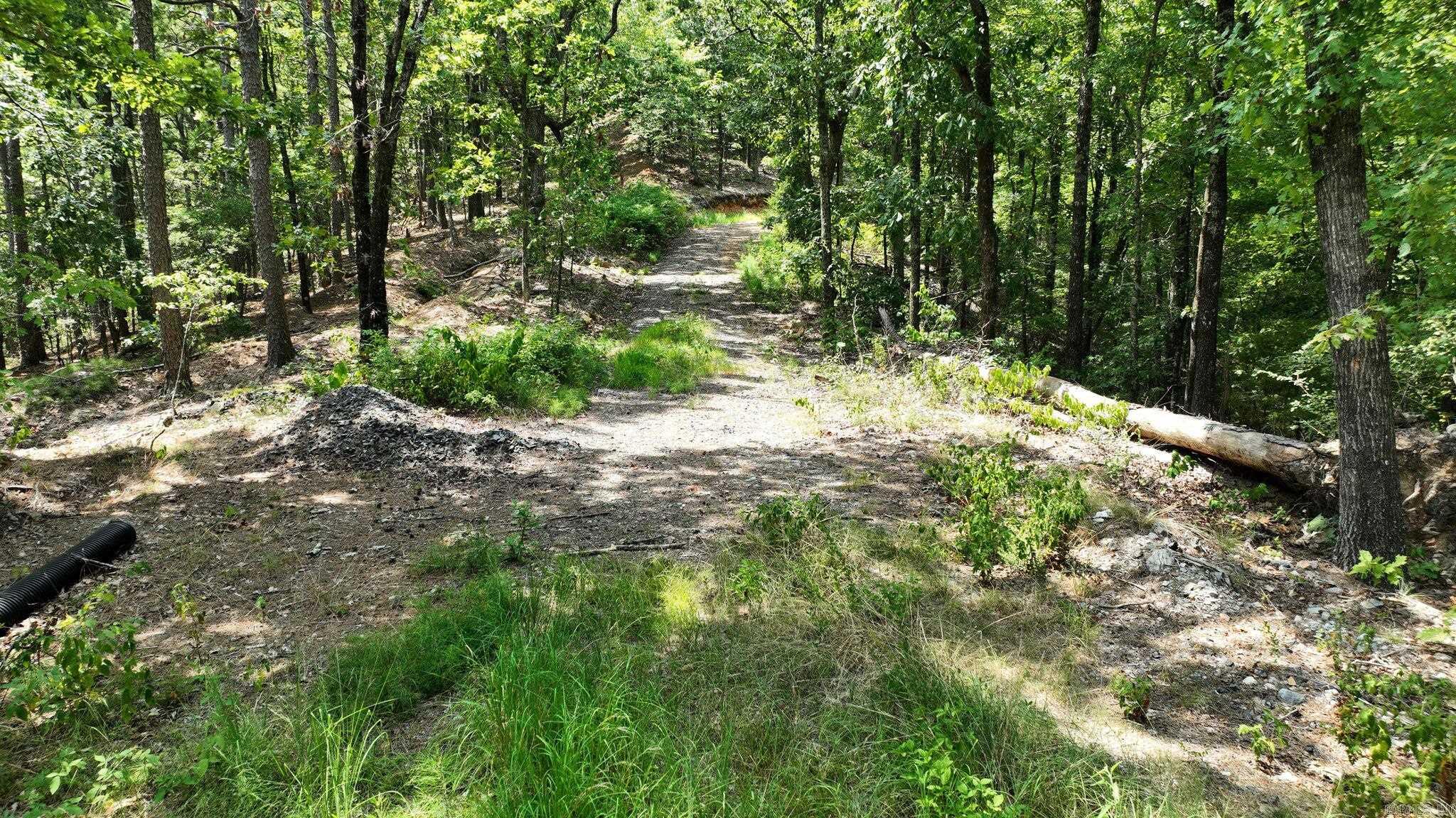 TBD Magic Pine Lane  Mena, AR