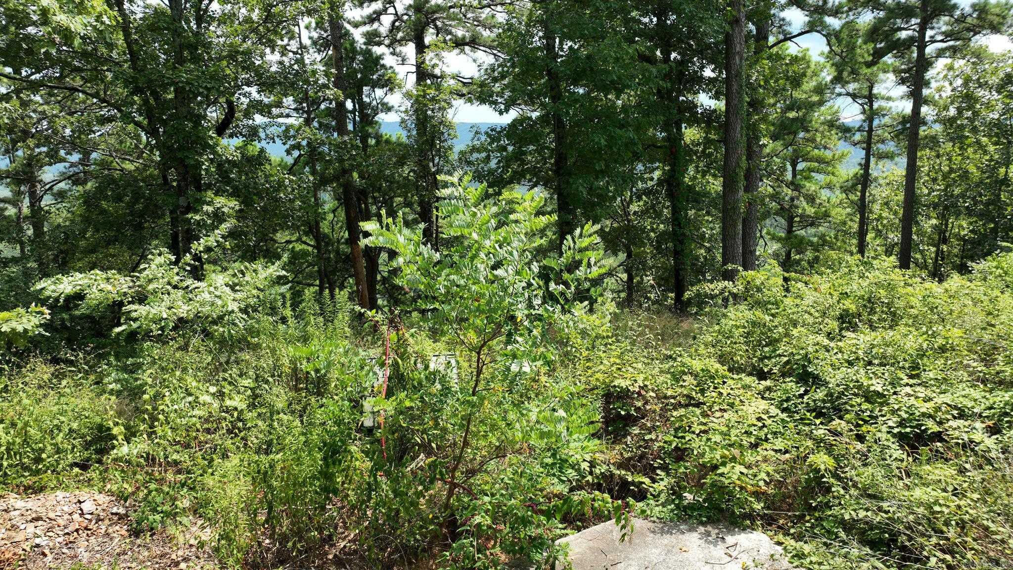 TBD Magic Pine Lane  Mena, AR