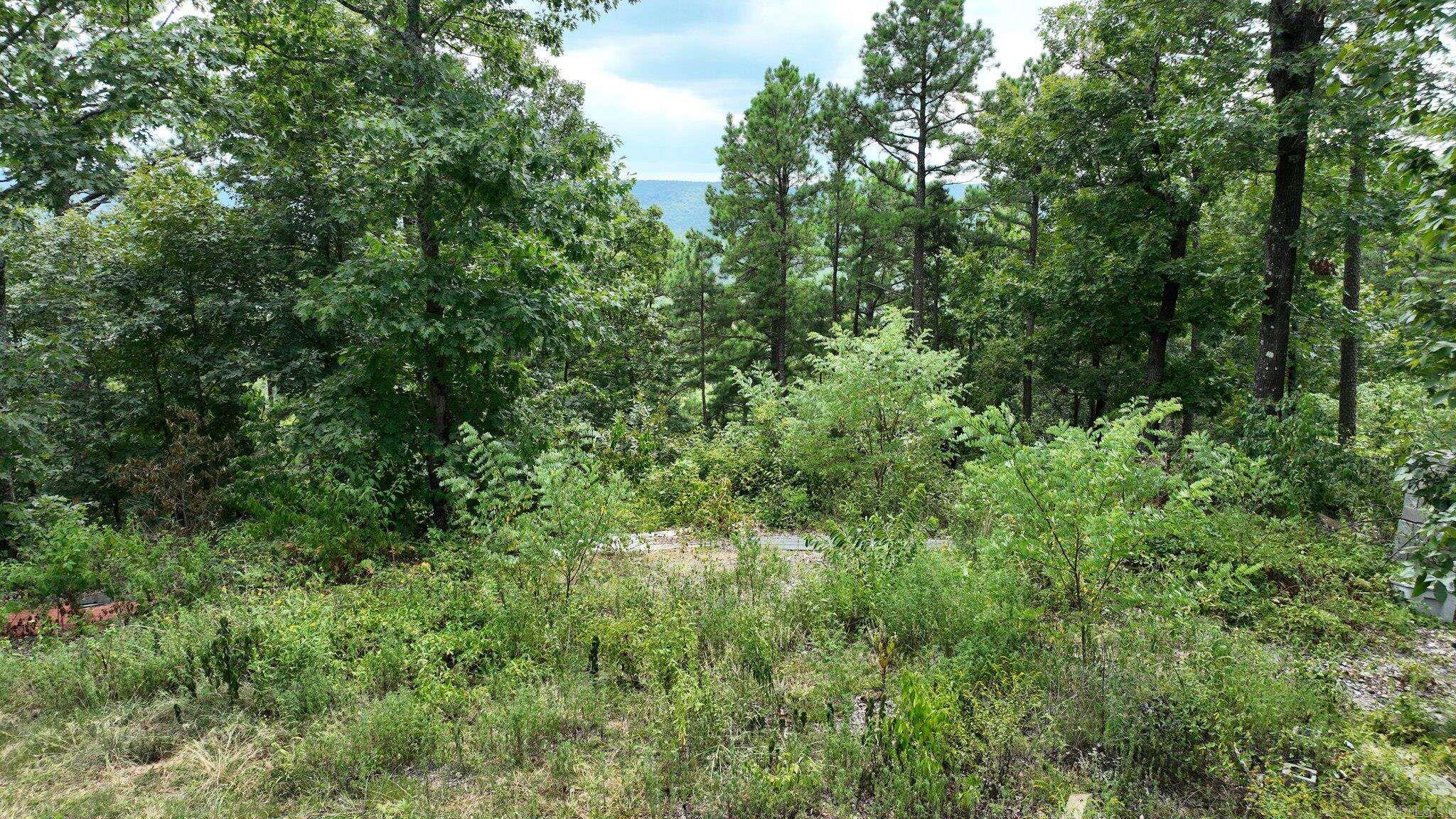 TBD Magic Pine Lane  Mena, AR