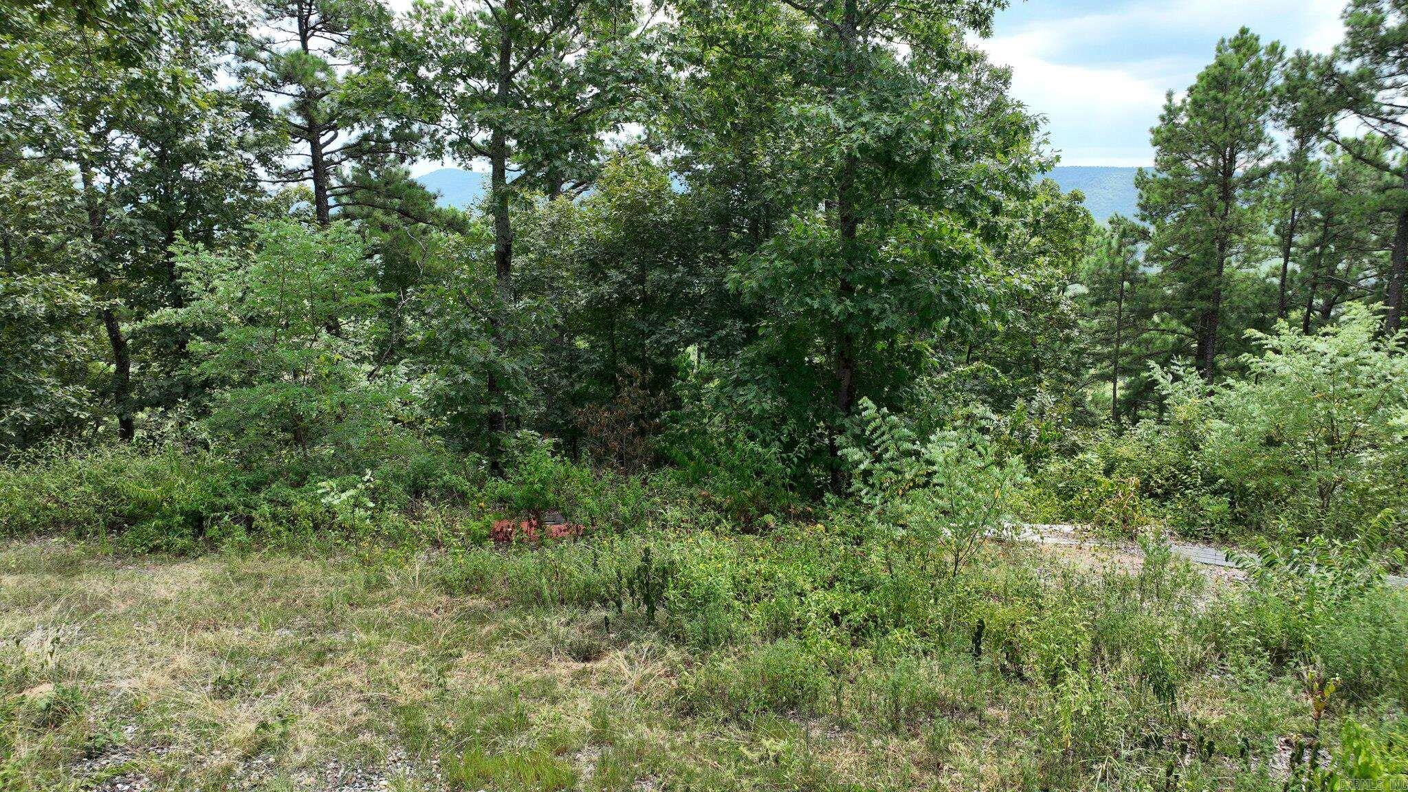 TBD Magic Pine Lane  Mena, AR