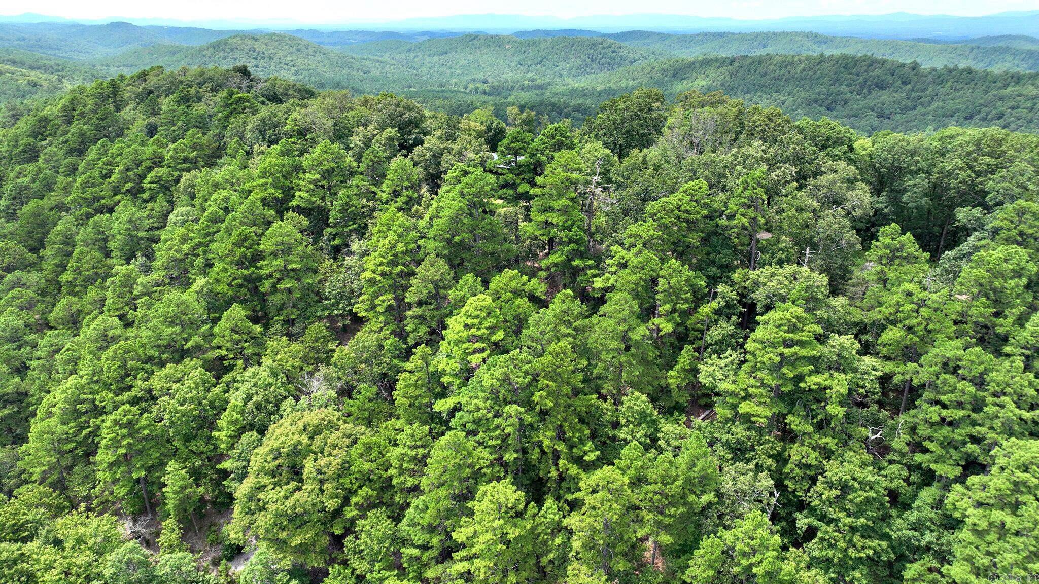 TBD Magic Pine Lane  Mena, AR