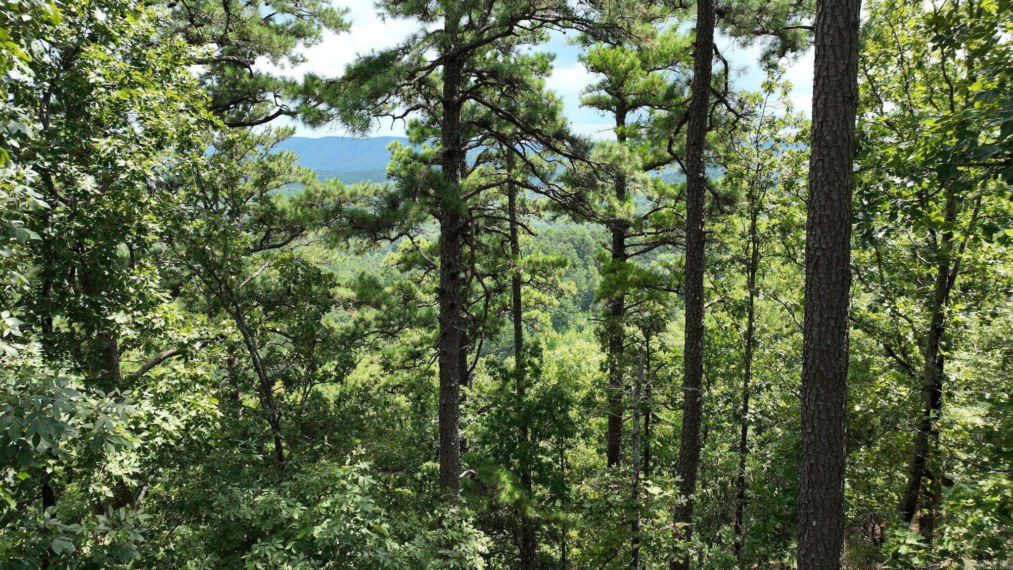 TBD Magic Pine Lane  Mena, AR