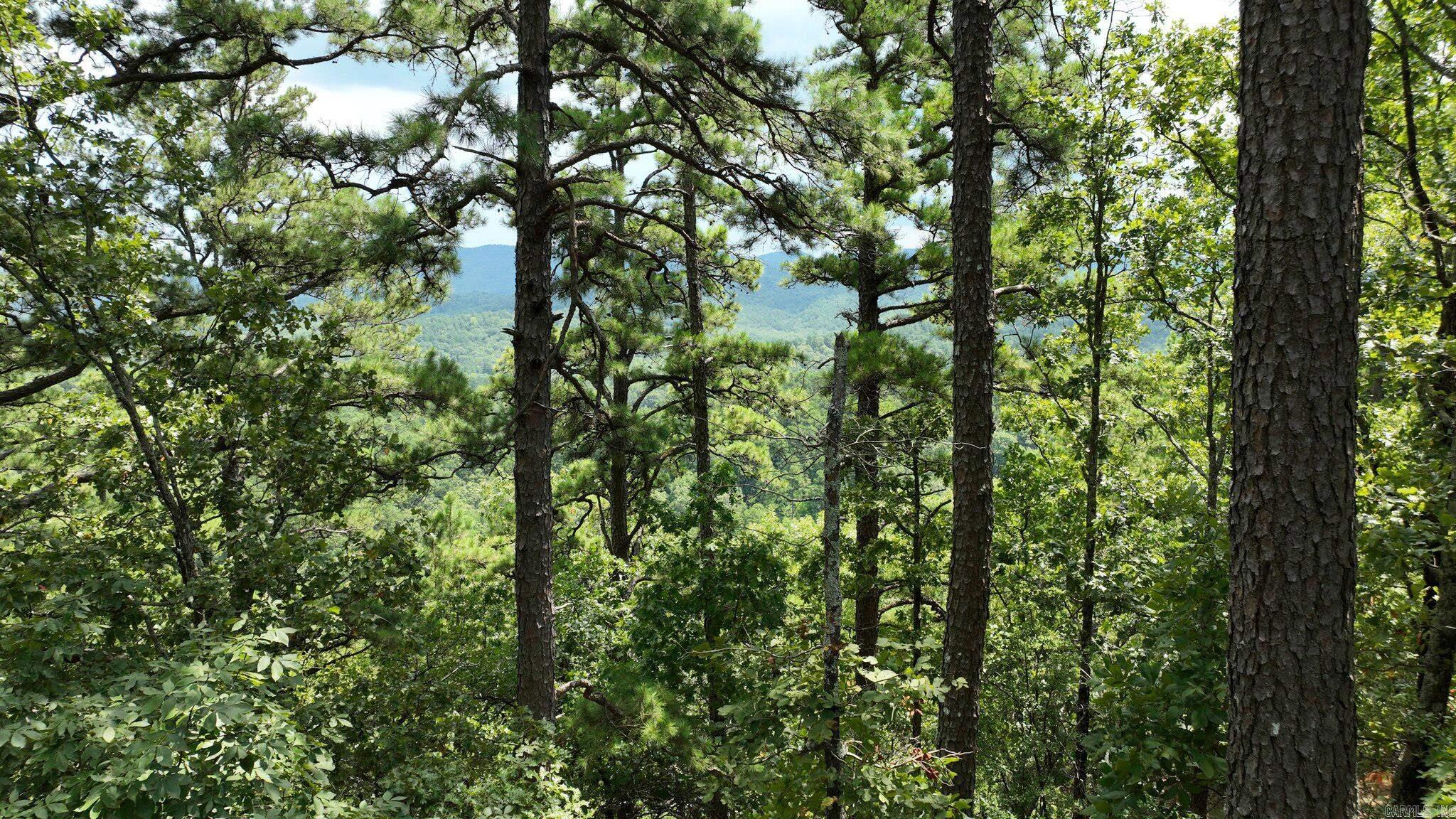 TBD Magic Pine Lane  Mena, AR