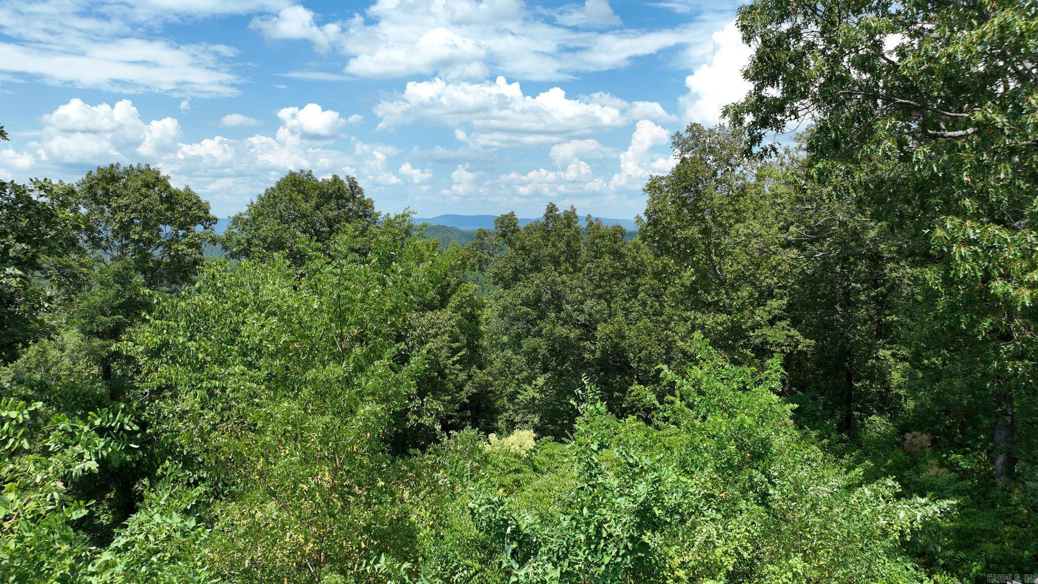 TBD Magic Pine Lane  Mena, AR