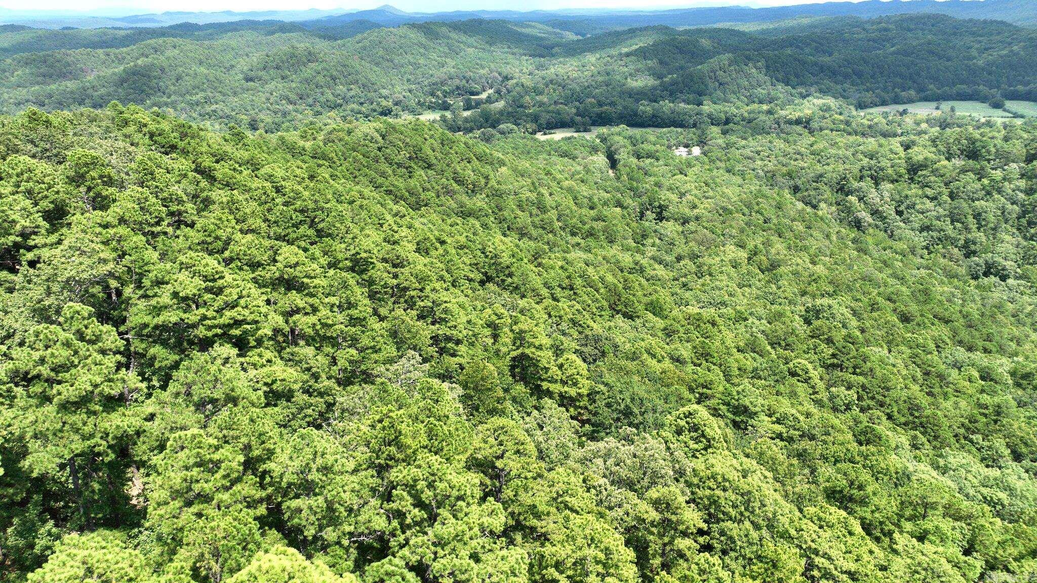 TBD Magic Pine Lane  Mena, AR
