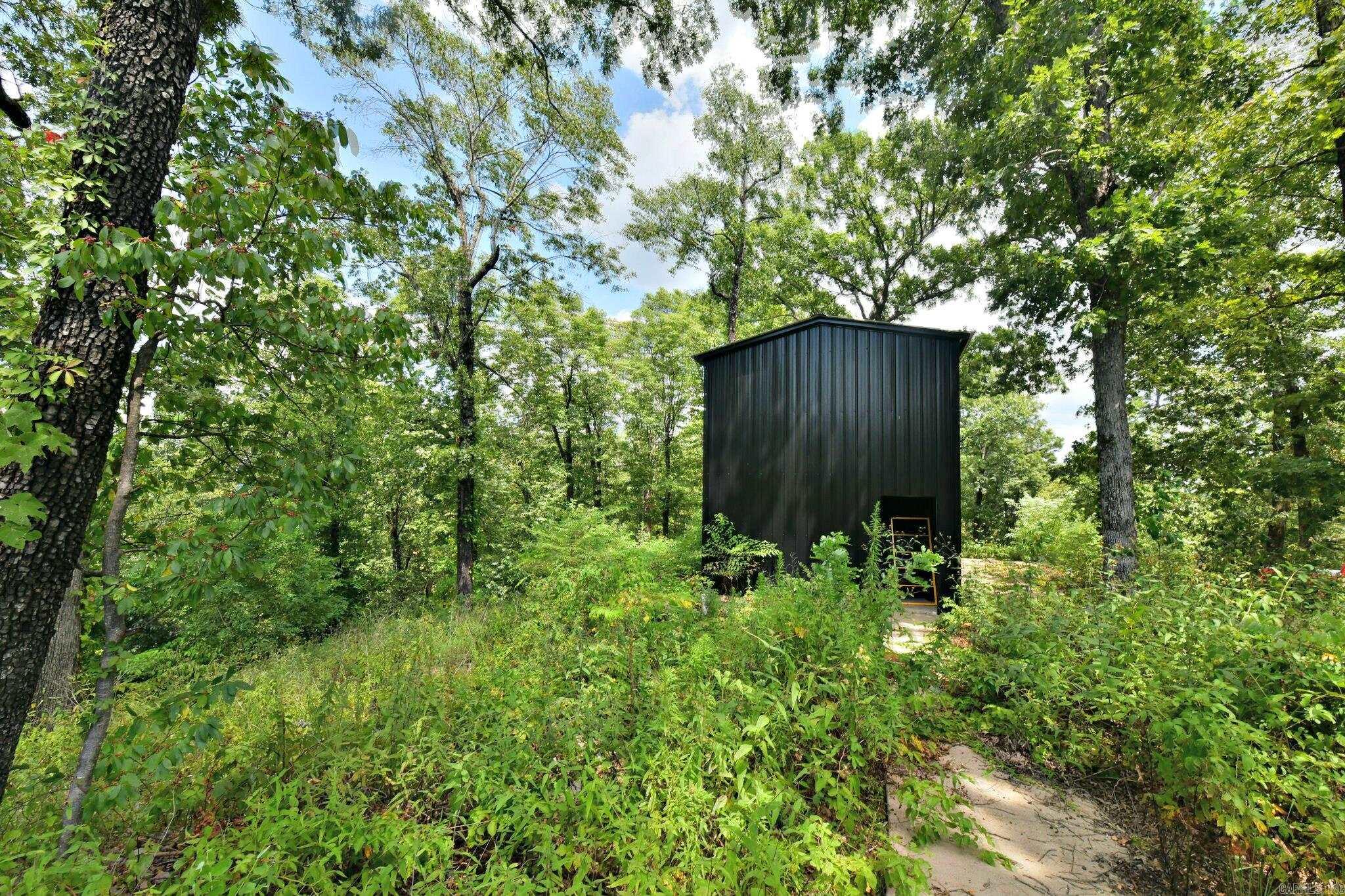 TBD Magic Pine Lane  Mena, AR