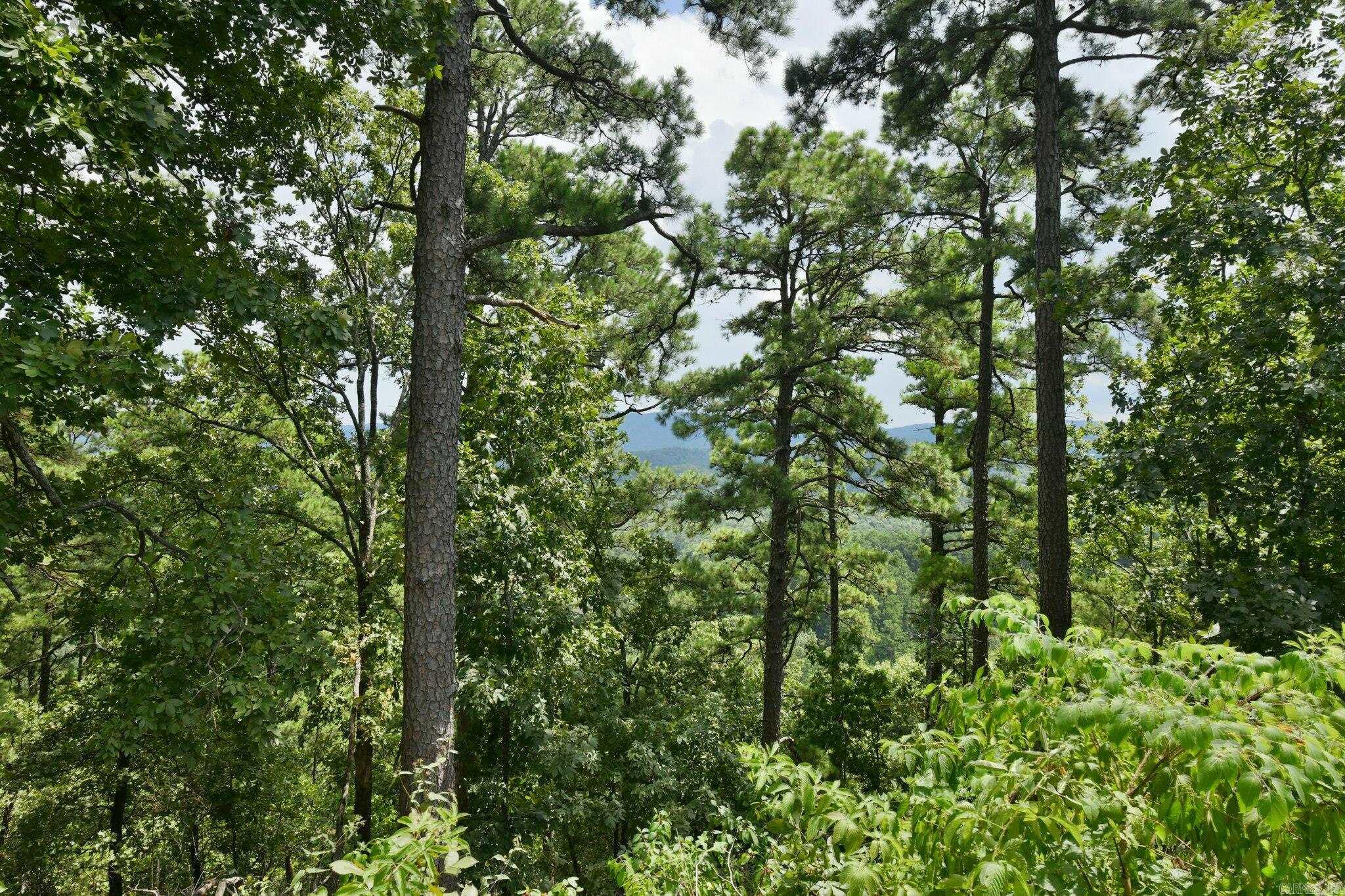 TBD Magic Pine Lane  Mena, AR