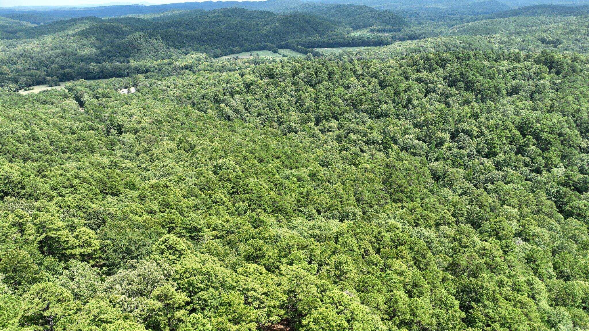 TBD Magic Pine Lane  Mena, AR