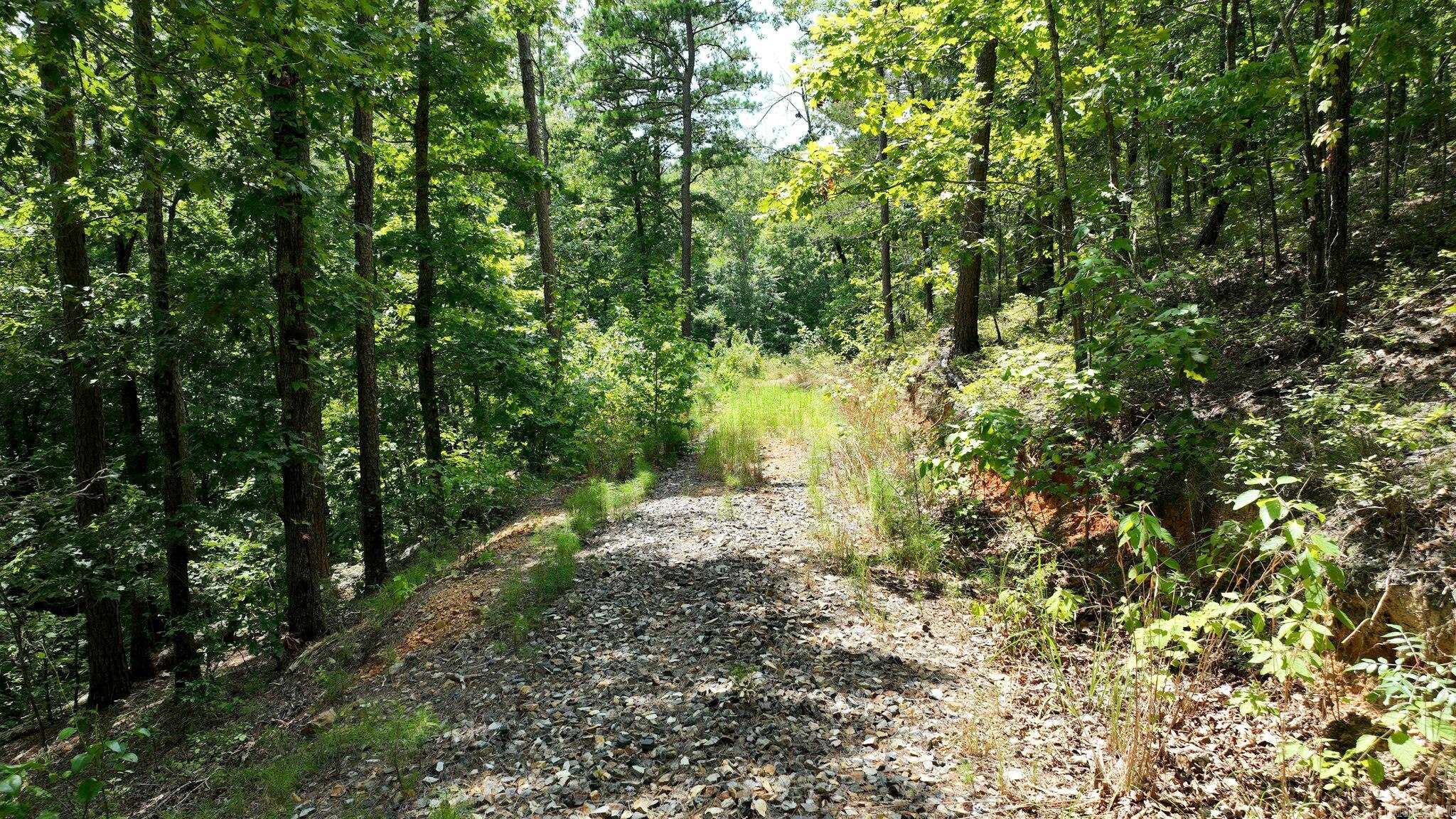 TBD Magic Pine Lane  Mena, AR