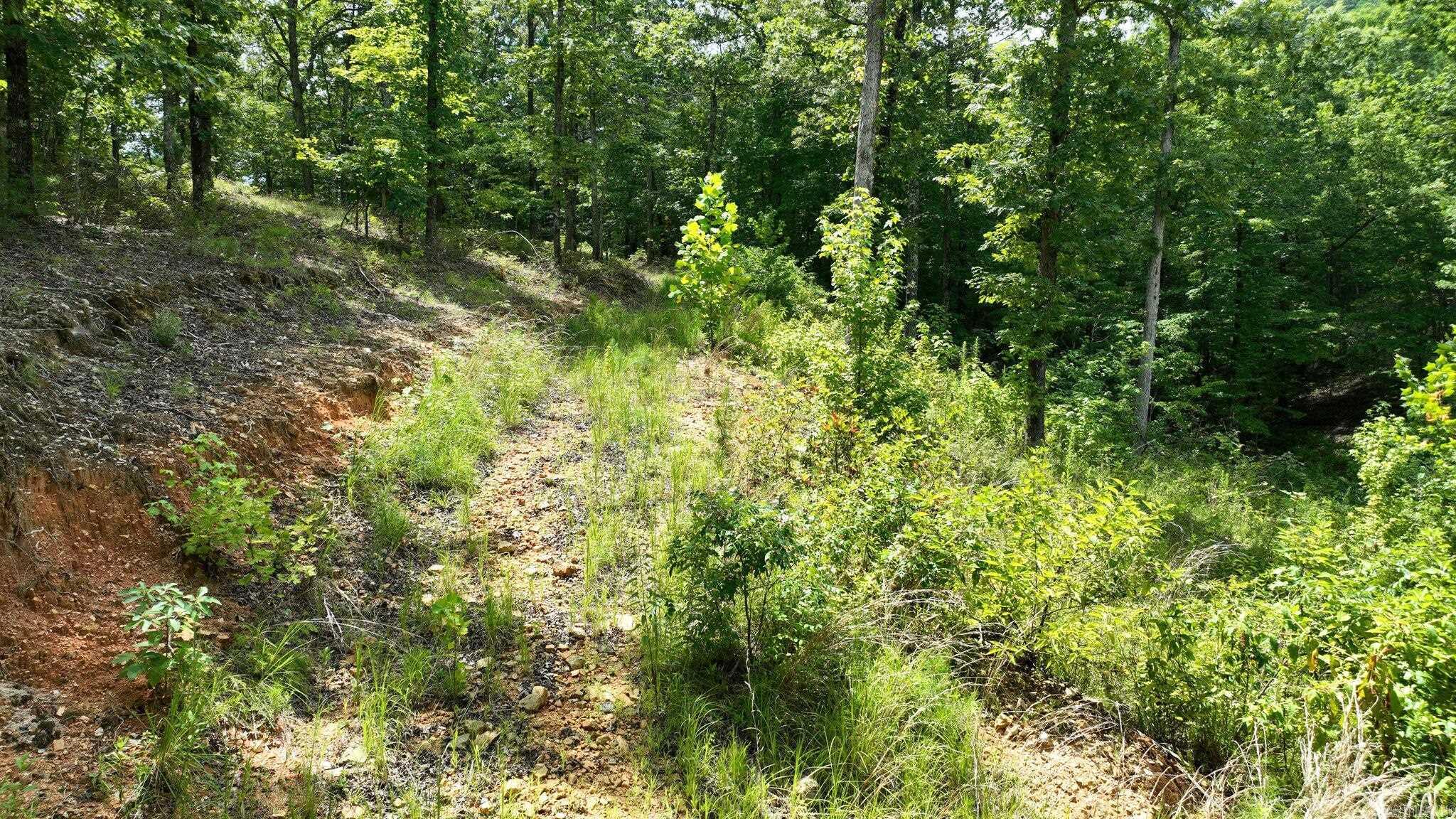 TBD Magic Pine Lane  Mena, AR