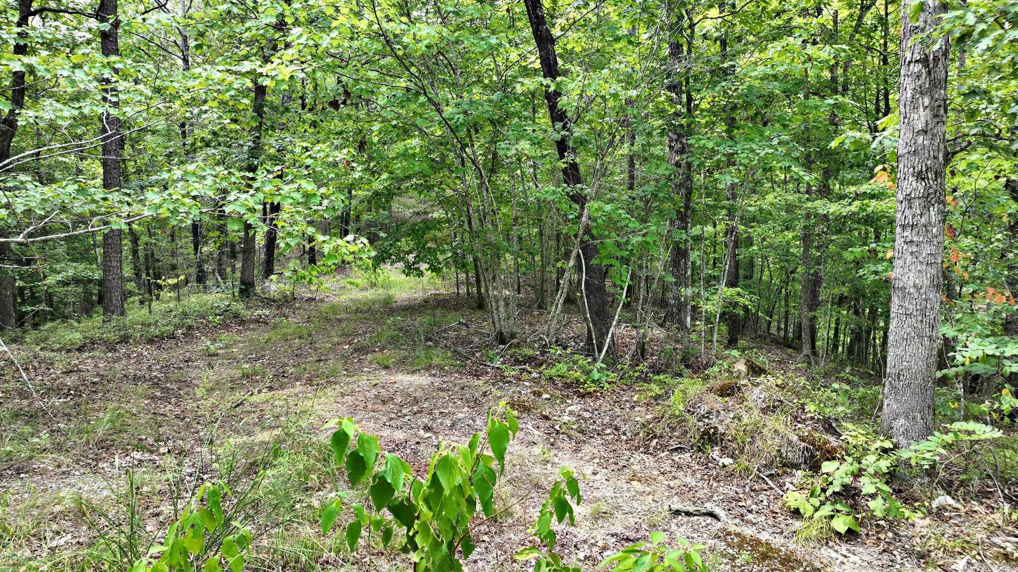 TBD Magic Pine Lane  Mena, AR