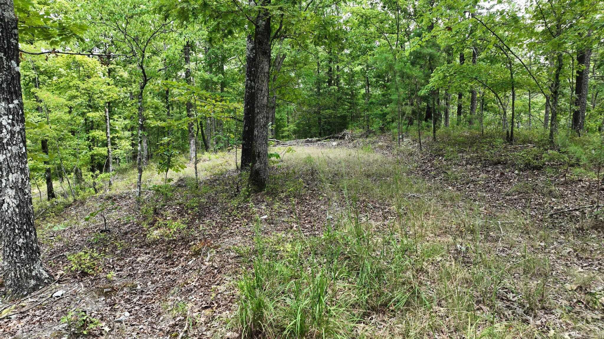 TBD Magic Pine Lane  Mena, AR