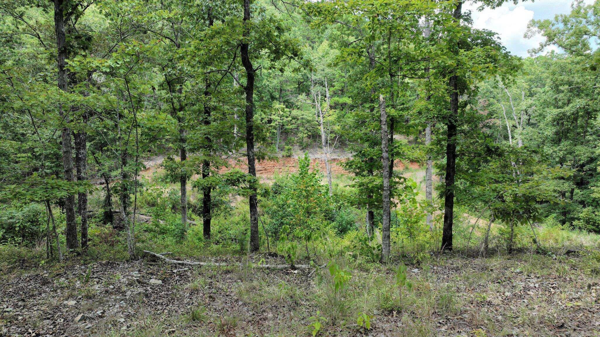 TBD Magic Pine Lane  Mena, AR