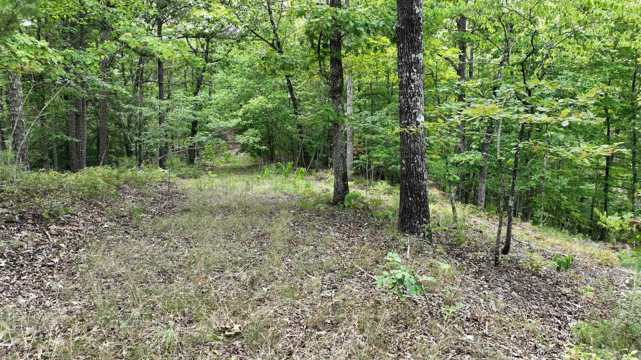 TBD Magic Pine Lane  Mena, AR