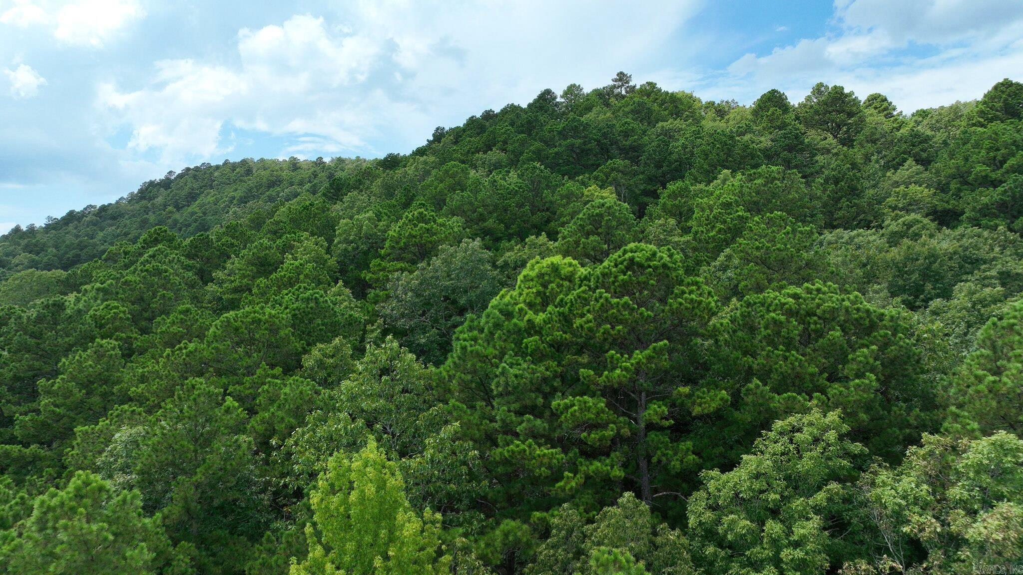 TBD Magic Pine Lane  Mena, AR