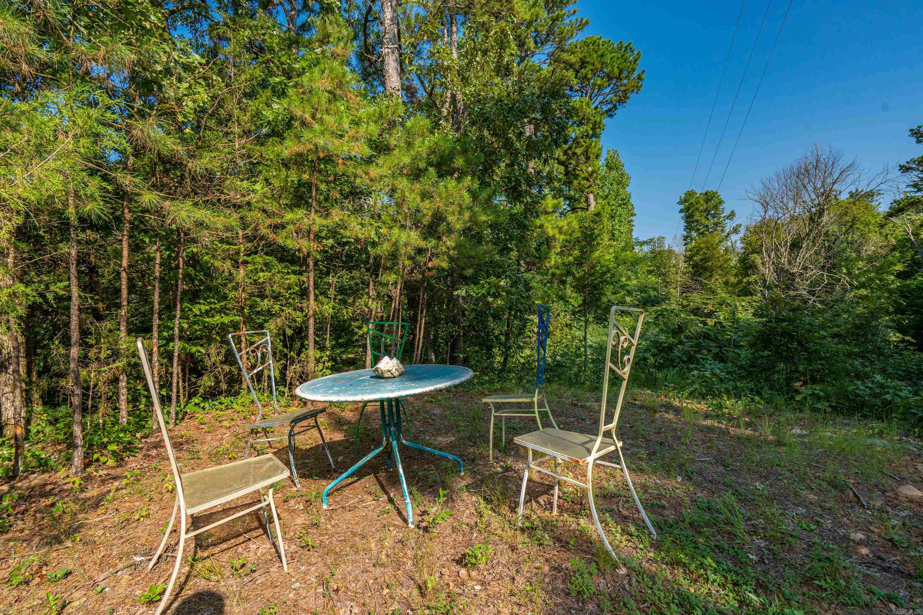 65 Raven  Oden, AR
