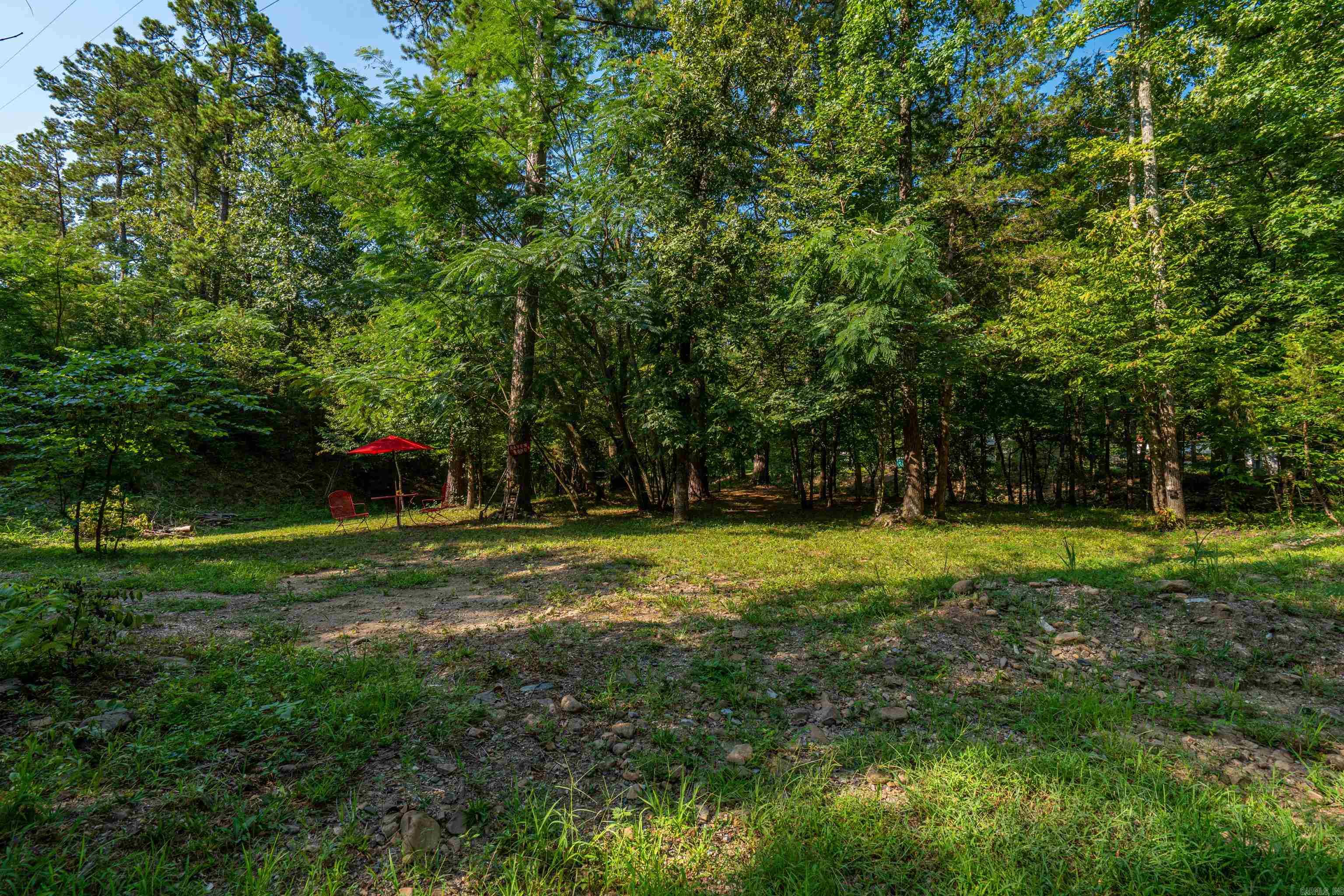 65 Raven  Oden, AR