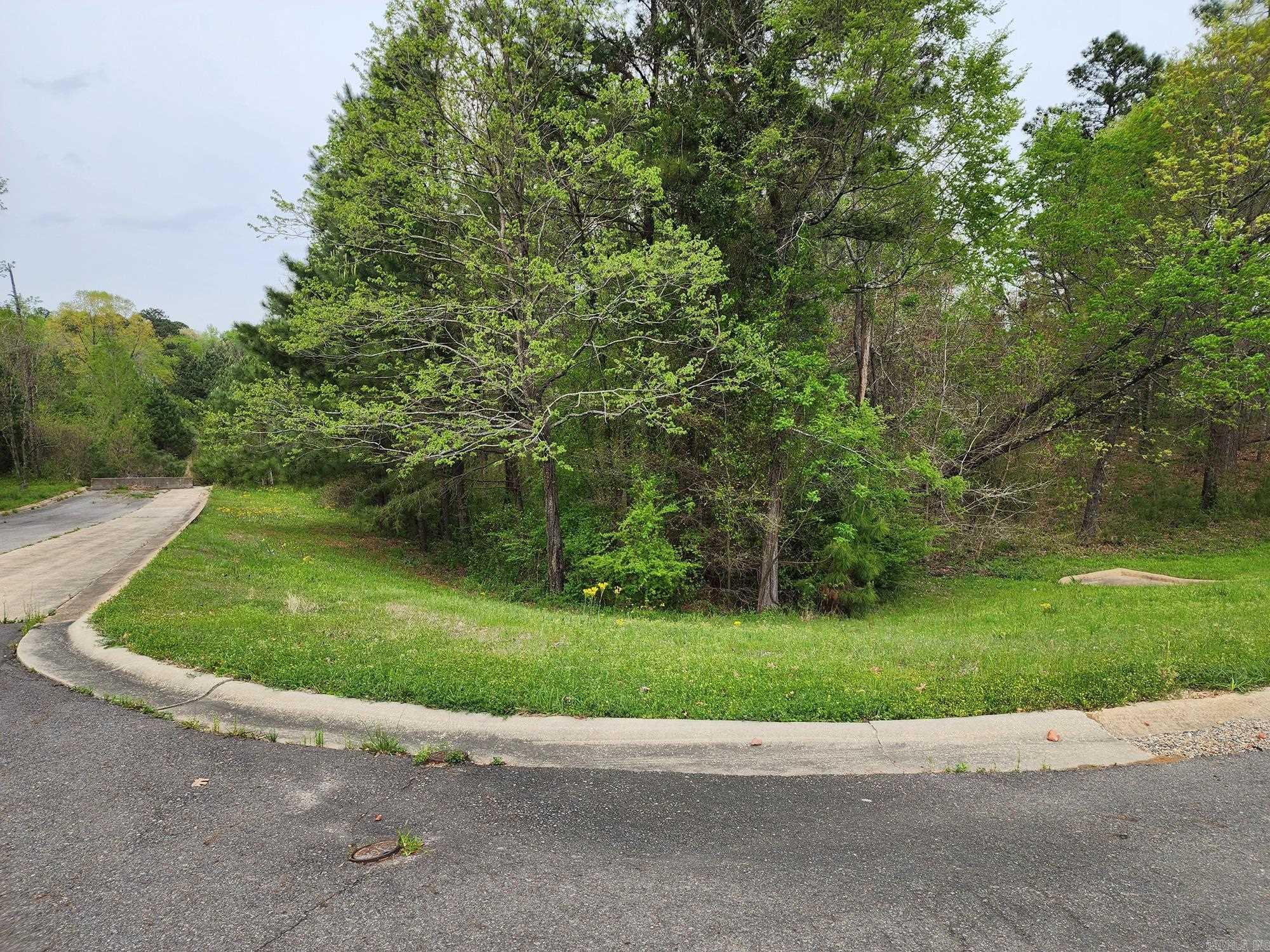 Lot 11 Timber Hills  El Dorado, AR