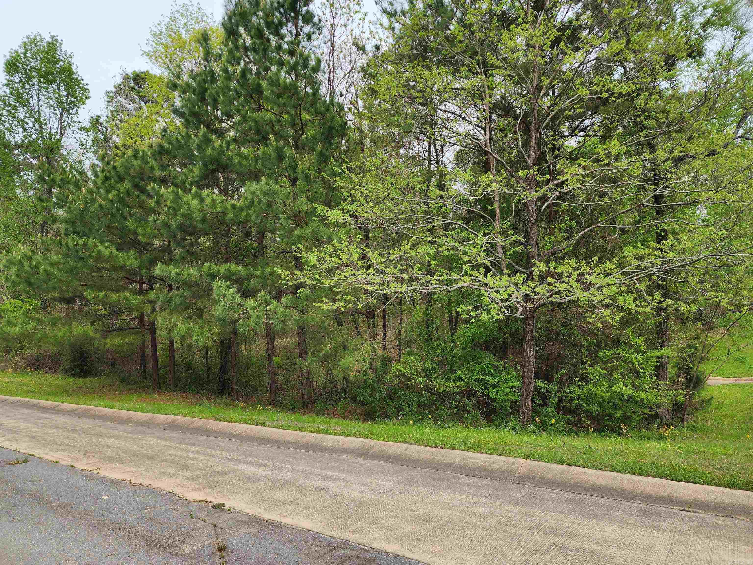 Lot 11 Timber Hills  El Dorado, AR