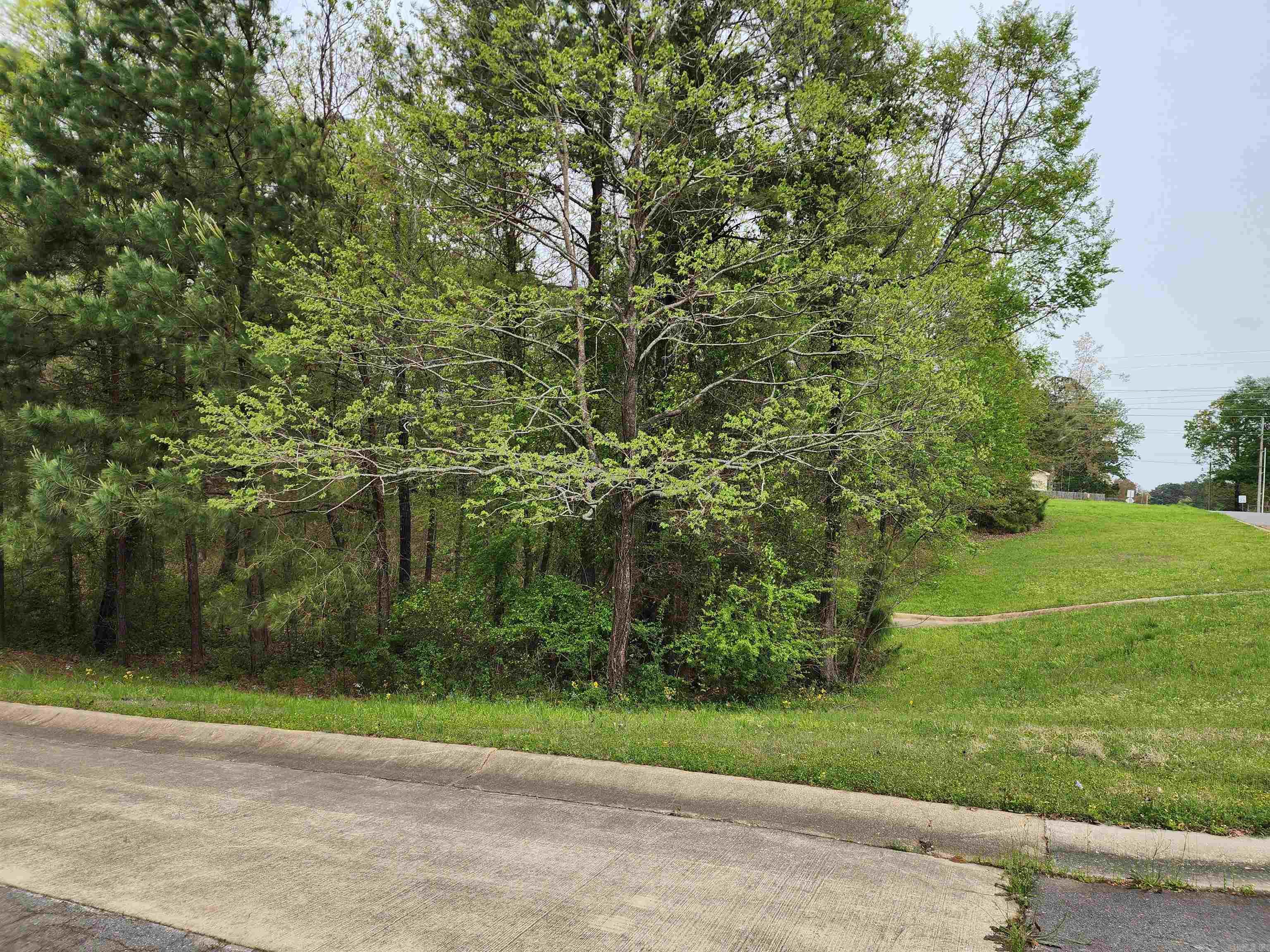Lot 11 Timber Hills  El Dorado, AR