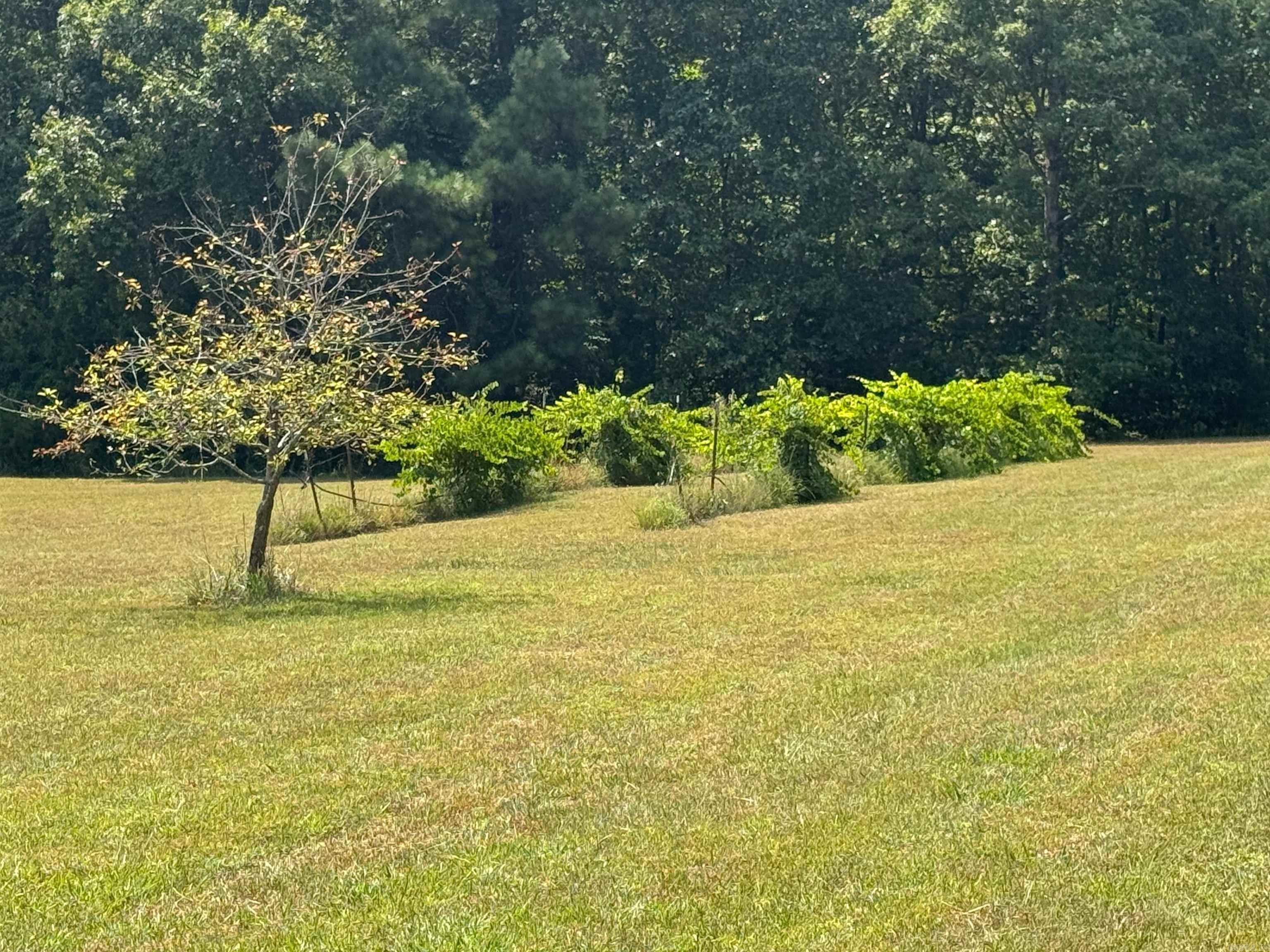 4003 Sunny Fox Rd Mountain View, AR 72560