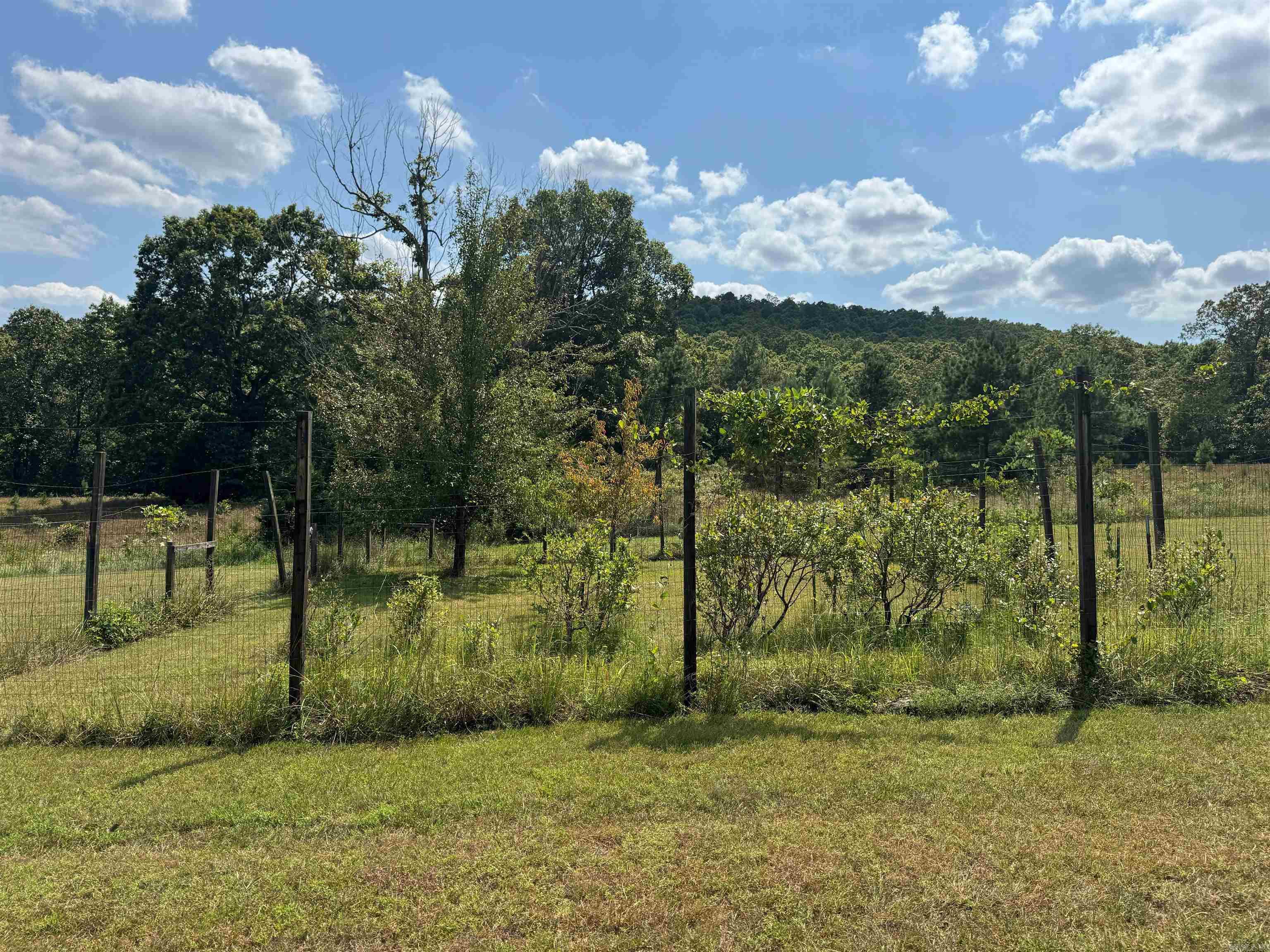 4003 Sunny Fox Rd Mountain View, AR 72560